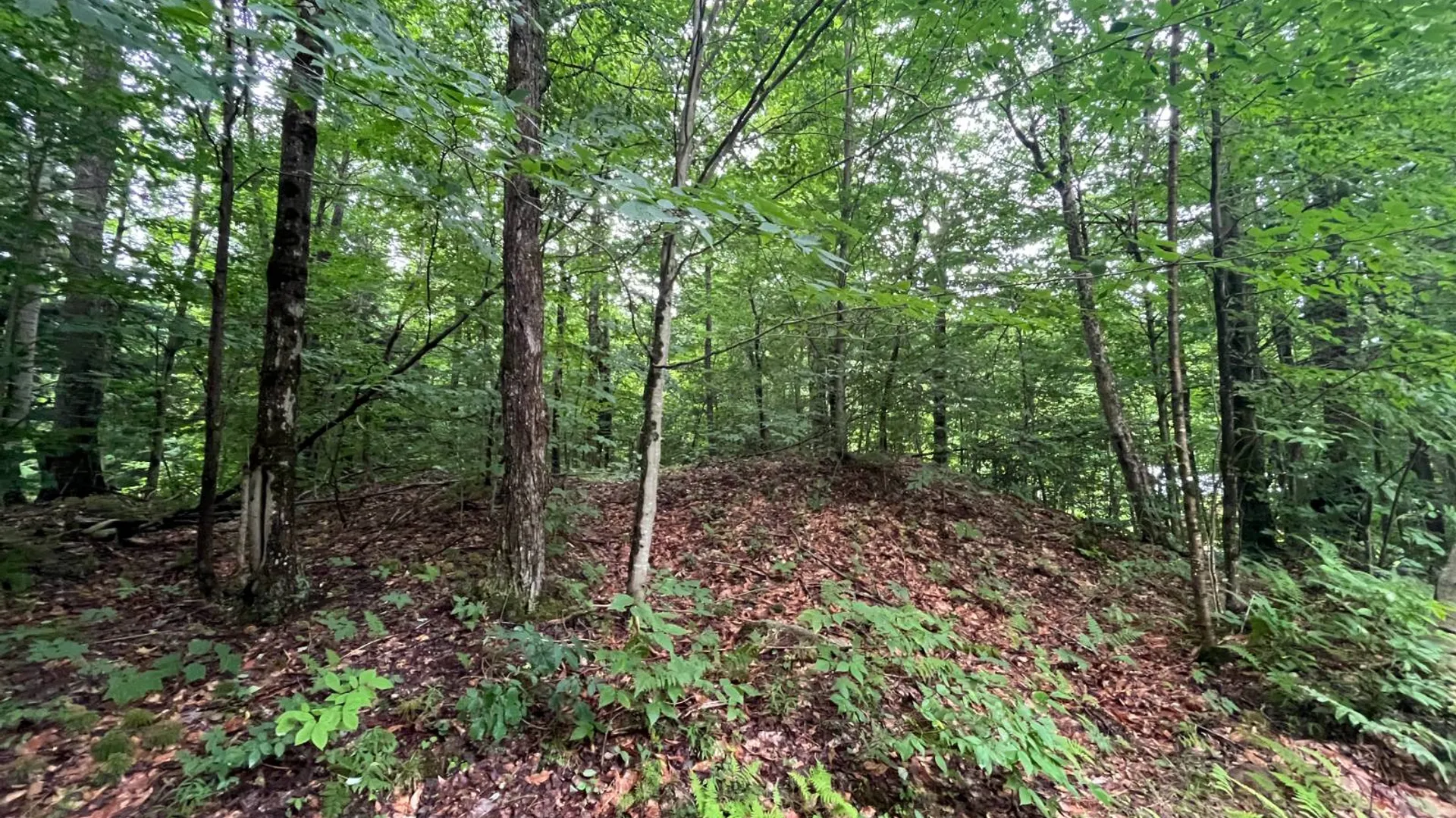 Property at 00 Boyd Pond Rd #11, Russell, NY 13684 5