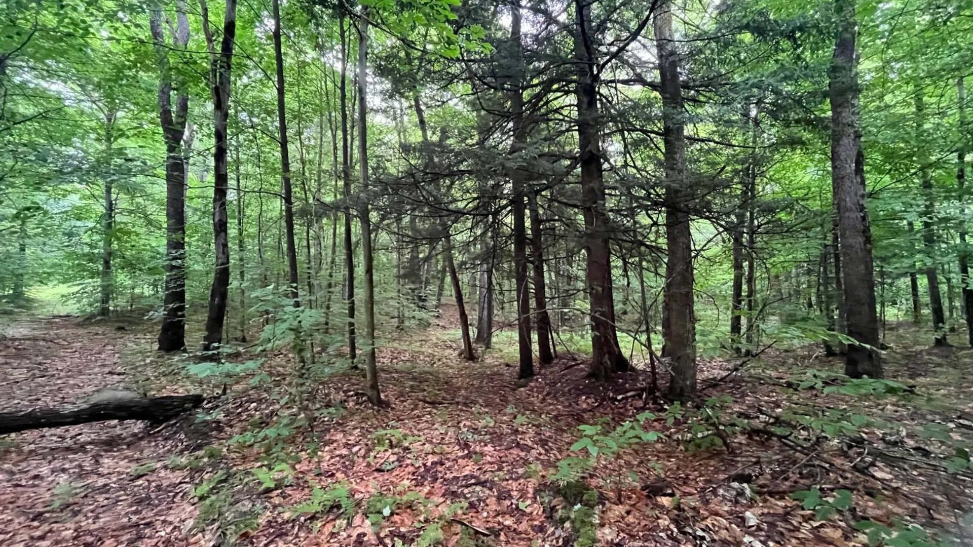 Property at 00 Boyd Pond Rd #11, Russell, NY 13684 6