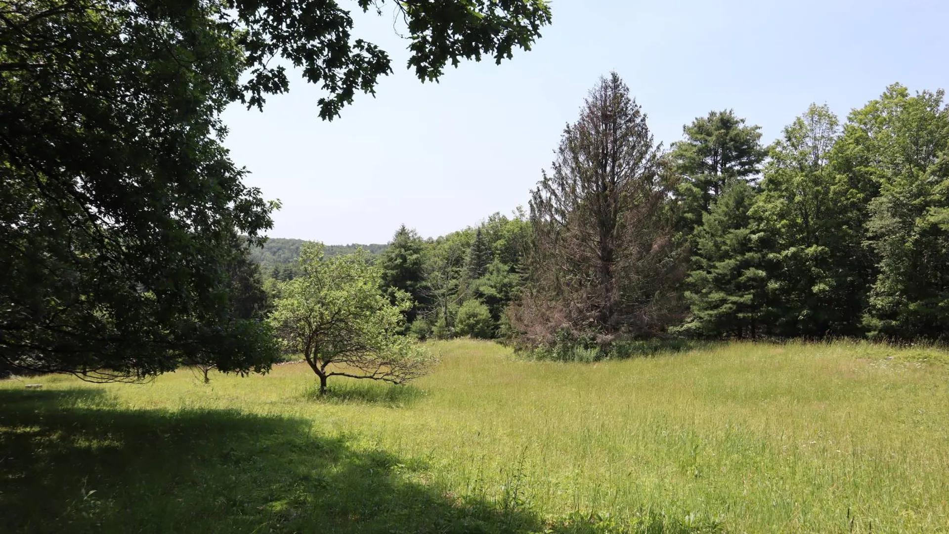 Property at 361 Hickey Road, Hampton, NY 12837 28