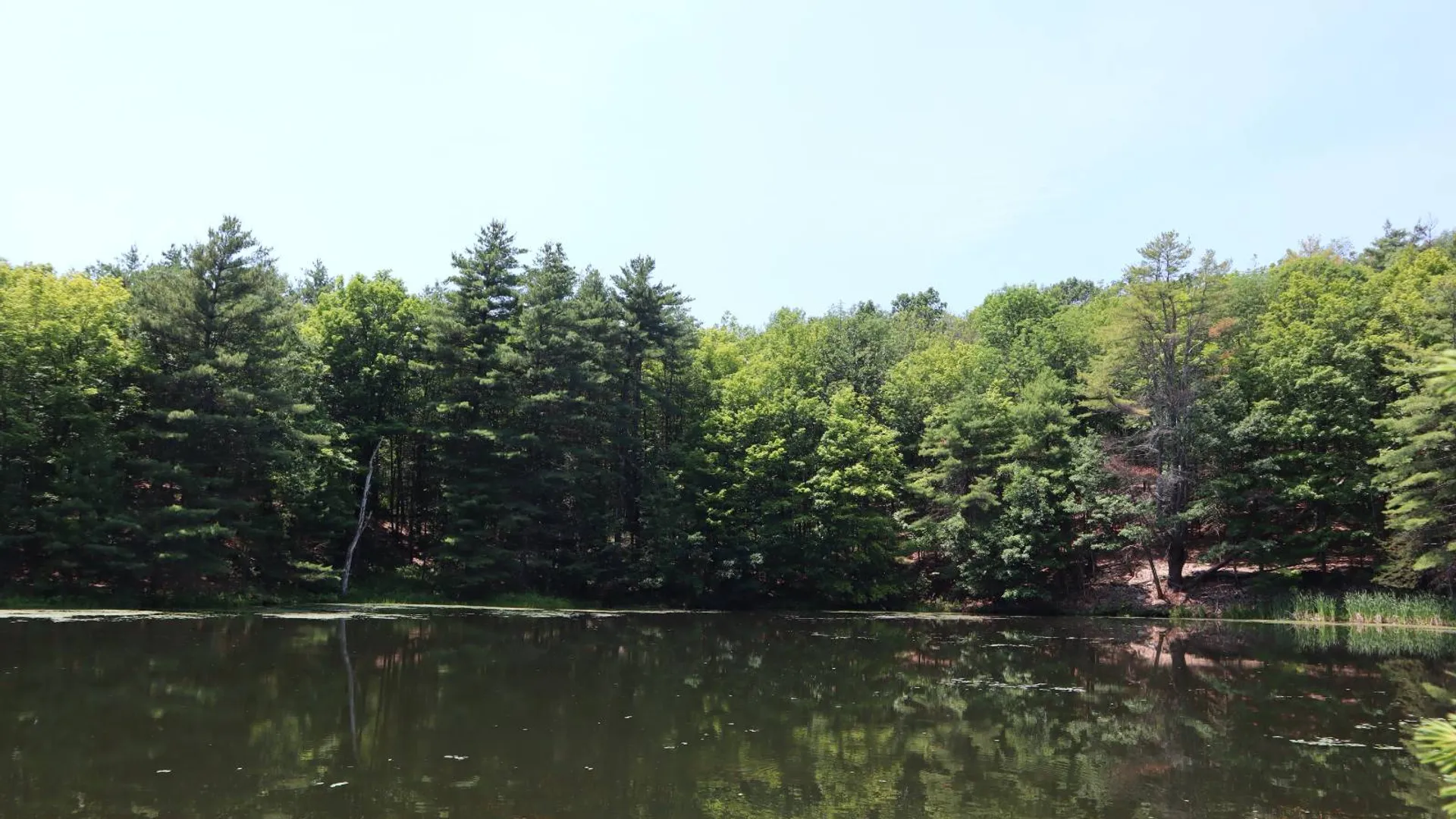 Property at 361 Hickey Road, Hampton, NY 12837 31
