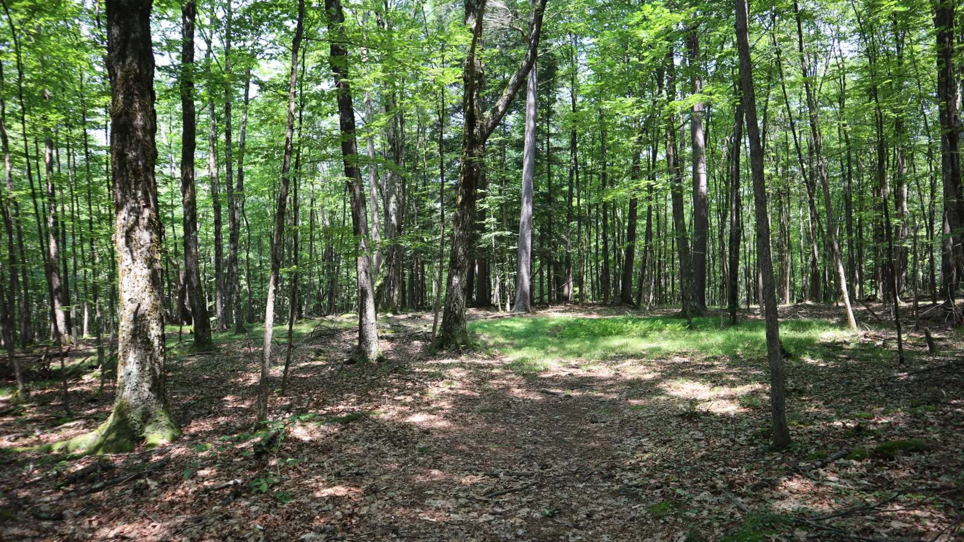 Property at 361 Hickey Road, Hampton, NY 12837 42