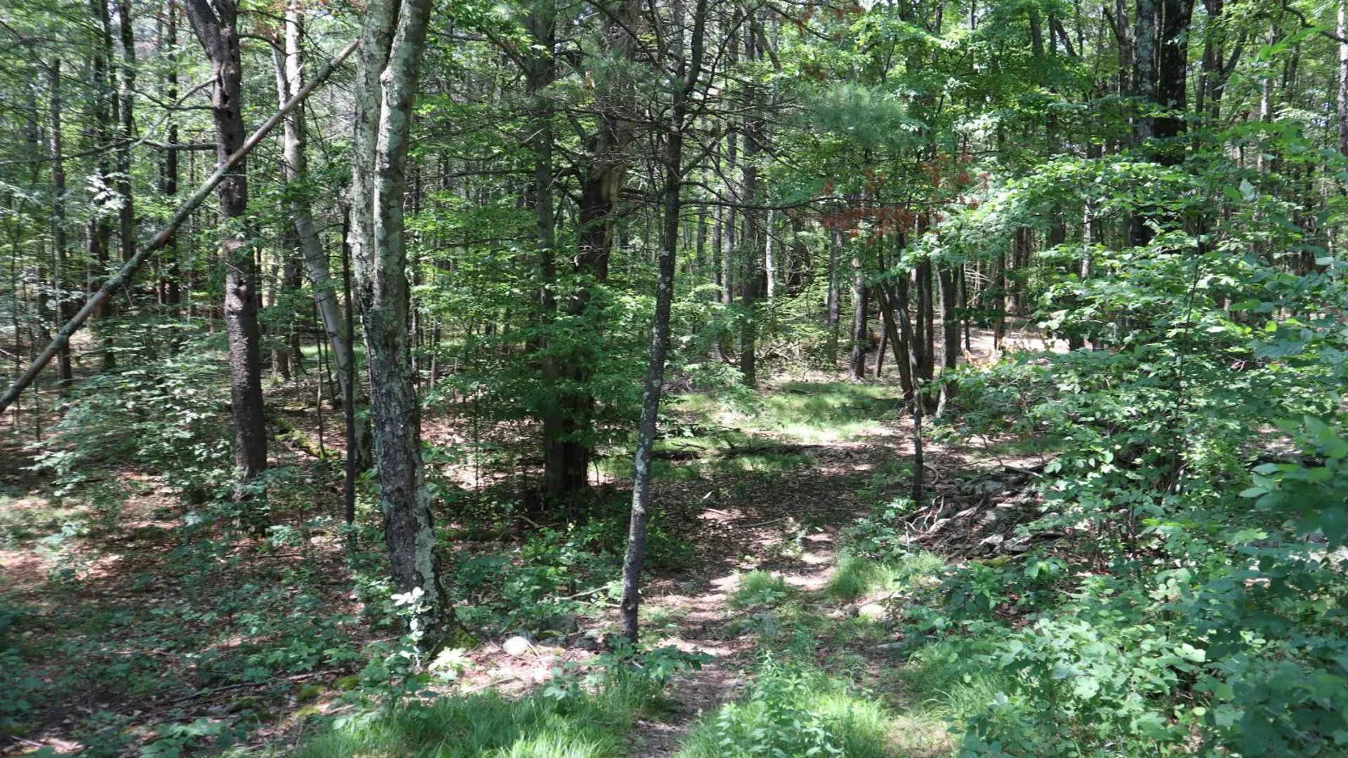 Property at 361 Hickey Road, Hampton, NY 12837 52