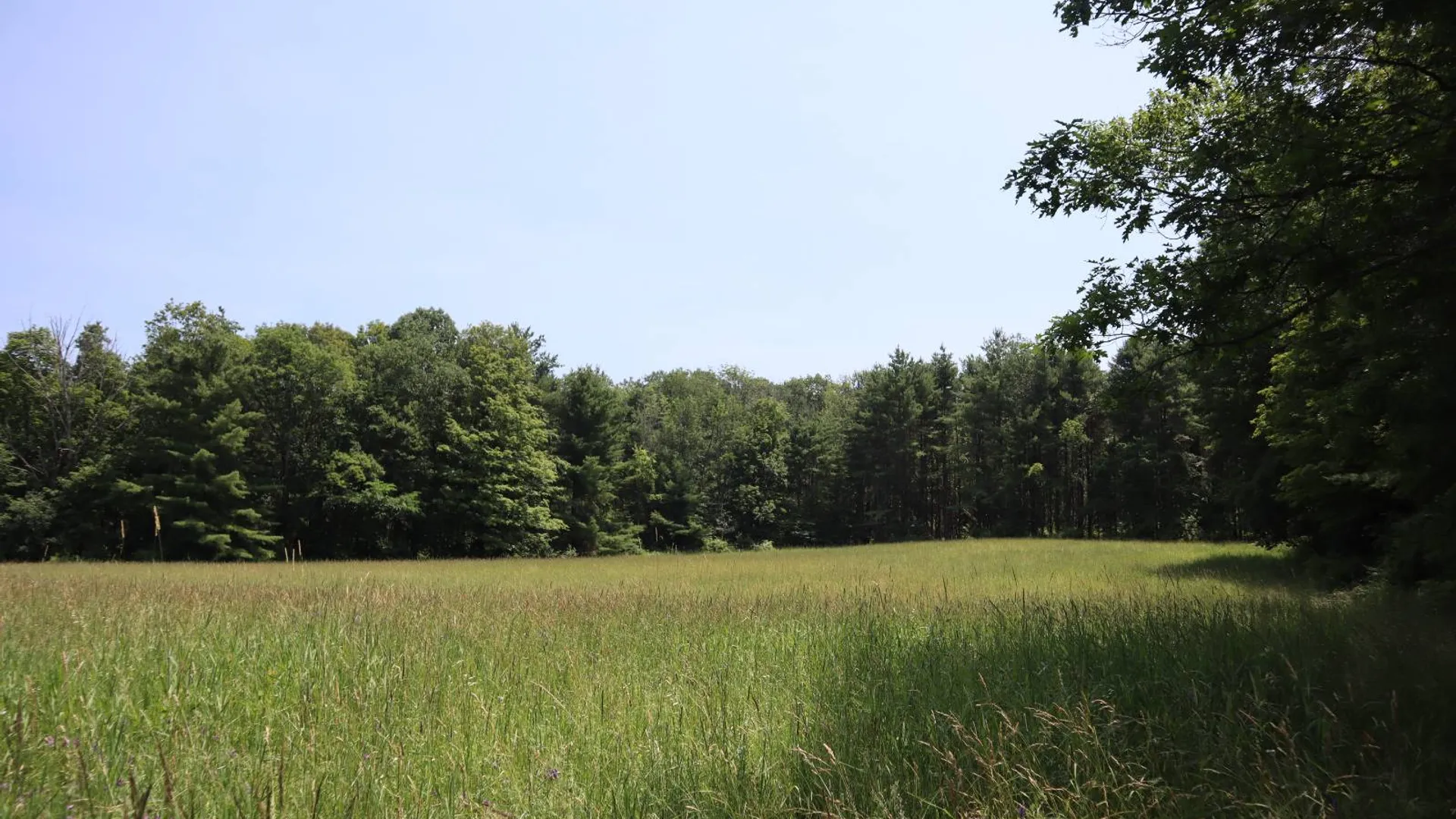Property at 361 Hickey Road, Hampton, NY 12837 58