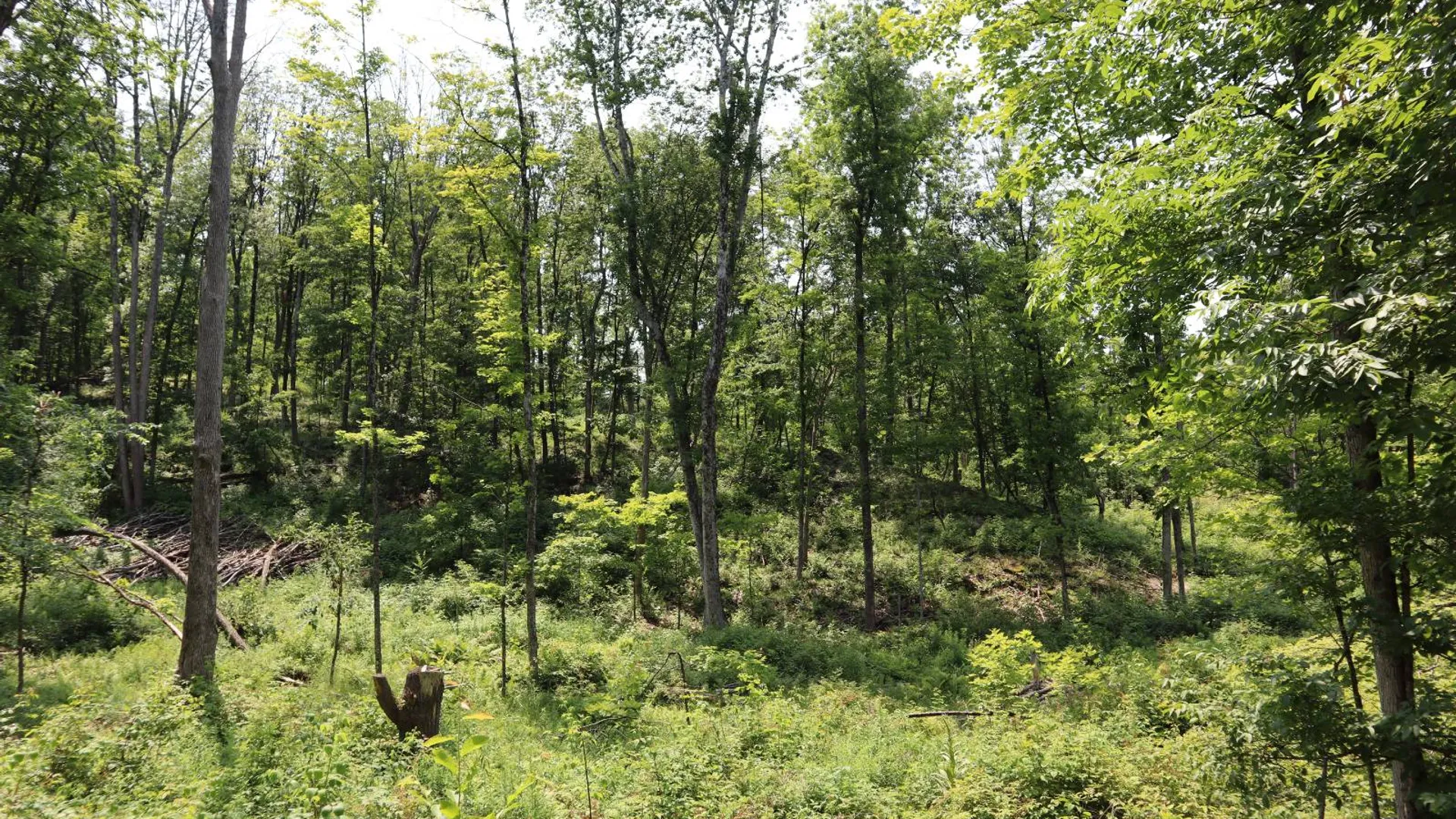 Property at 361 Hickey Road, Hampton, NY 12837 60
