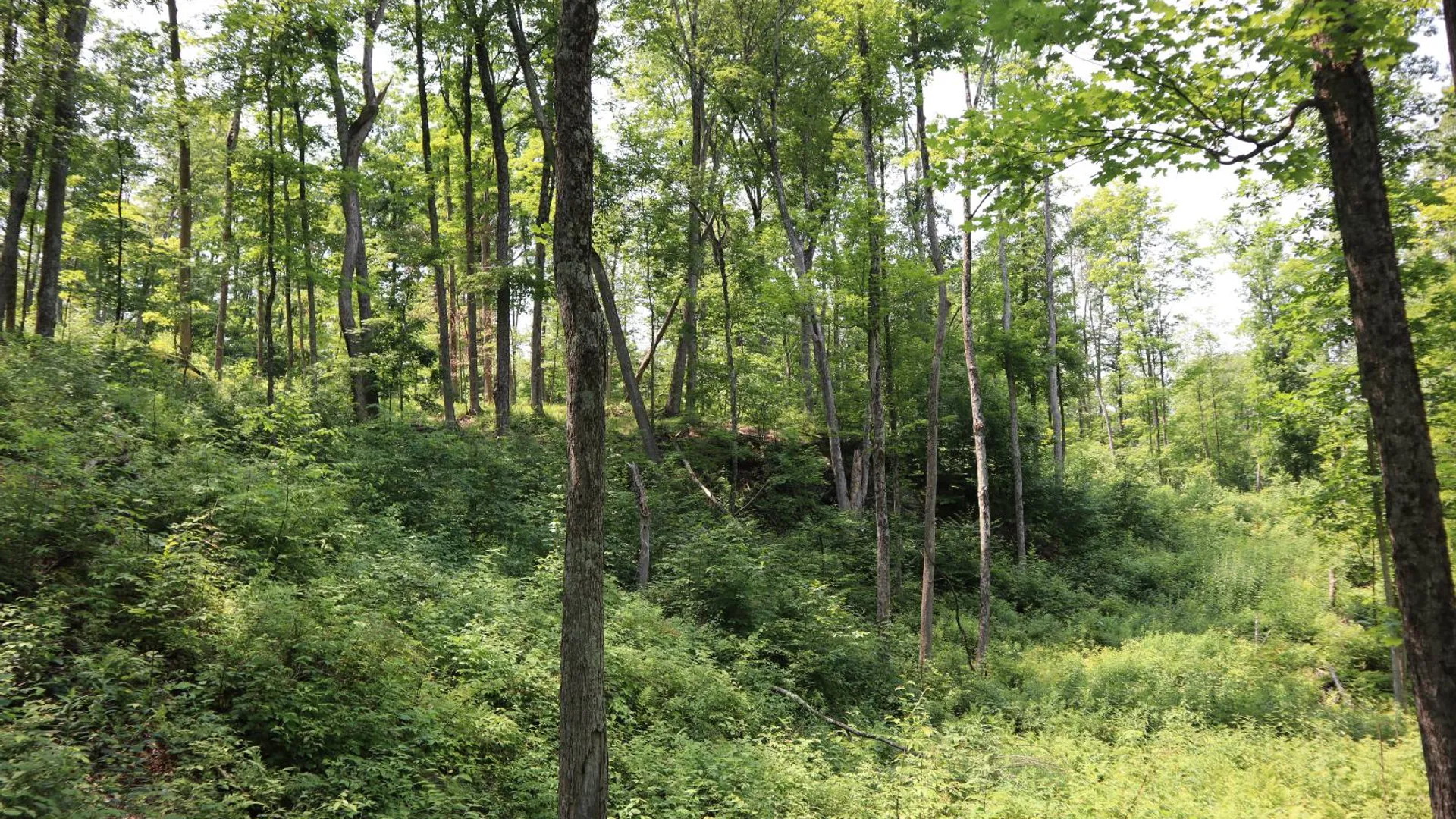 Property at 361 Hickey Road, Hampton, NY 12837 63
