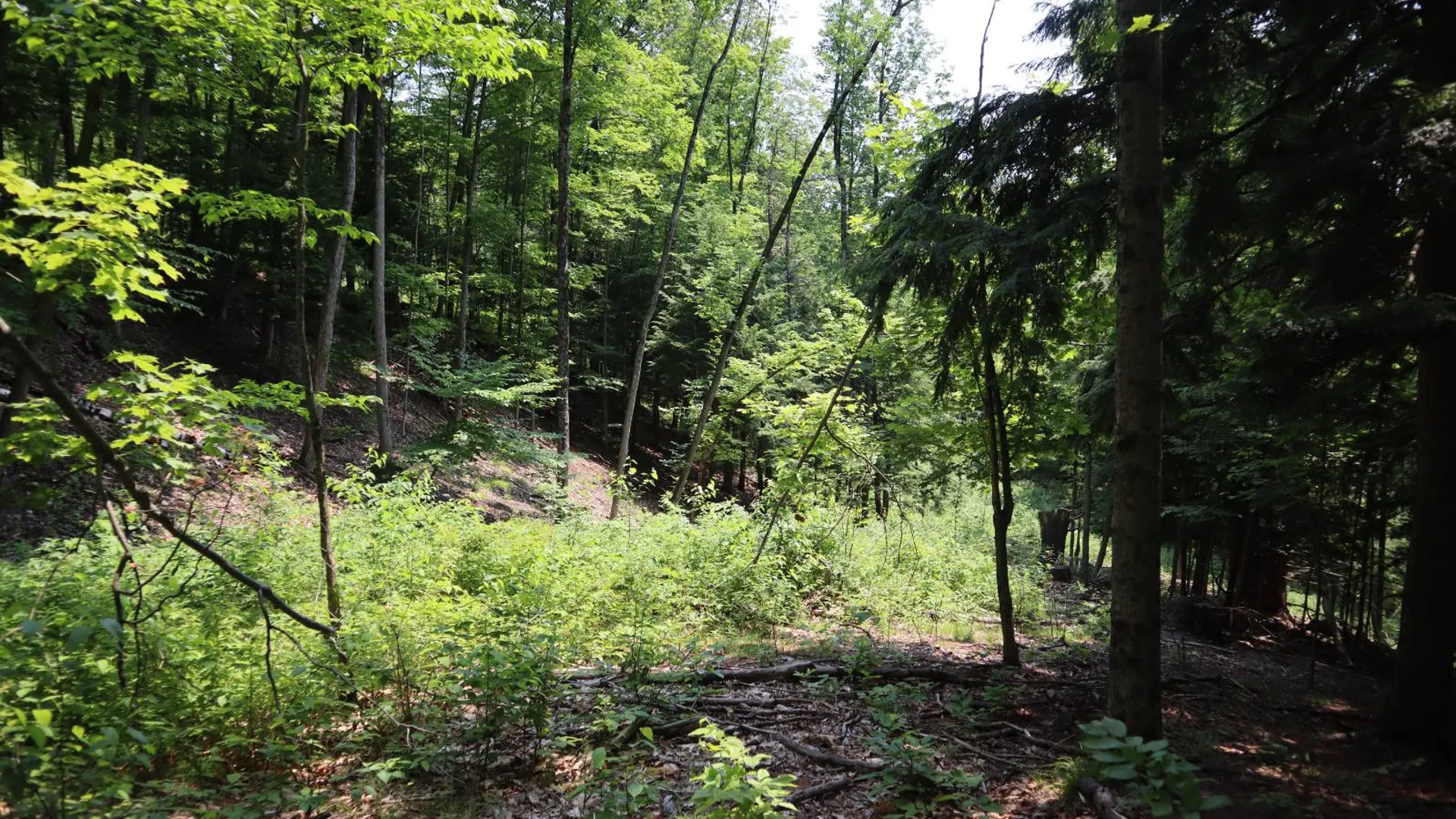 Property at 361 Hickey Road, Hampton, NY 12837 67