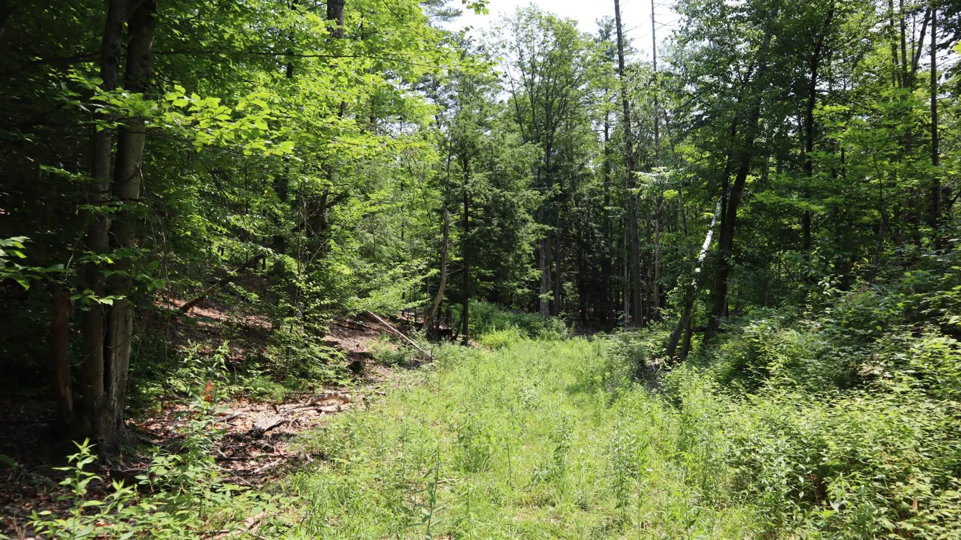 Property at 361 Hickey Road, Hampton, NY 12837 69