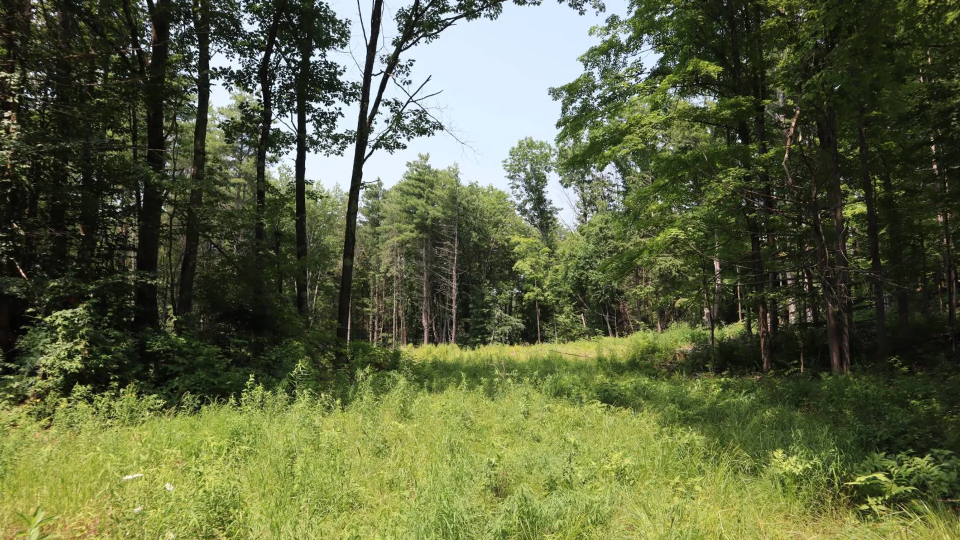 Property at 361 Hickey Road, Hampton, NY 12837 70