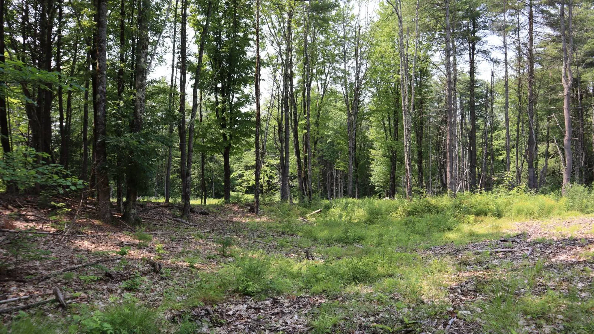 Property at 361 Hickey Road, Hampton, NY 12837 71