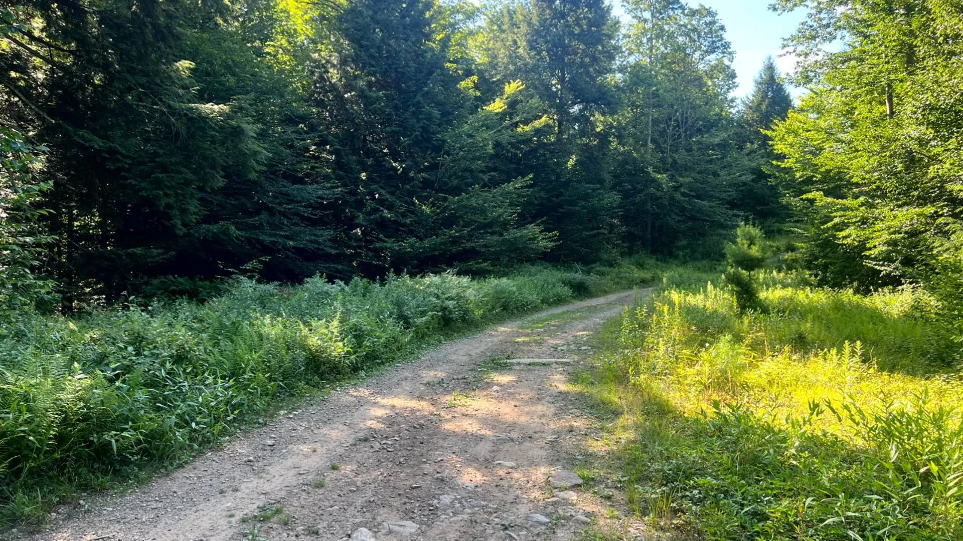Property at Lot 6 Carleton Pond Road, Camden, NY 13316 10