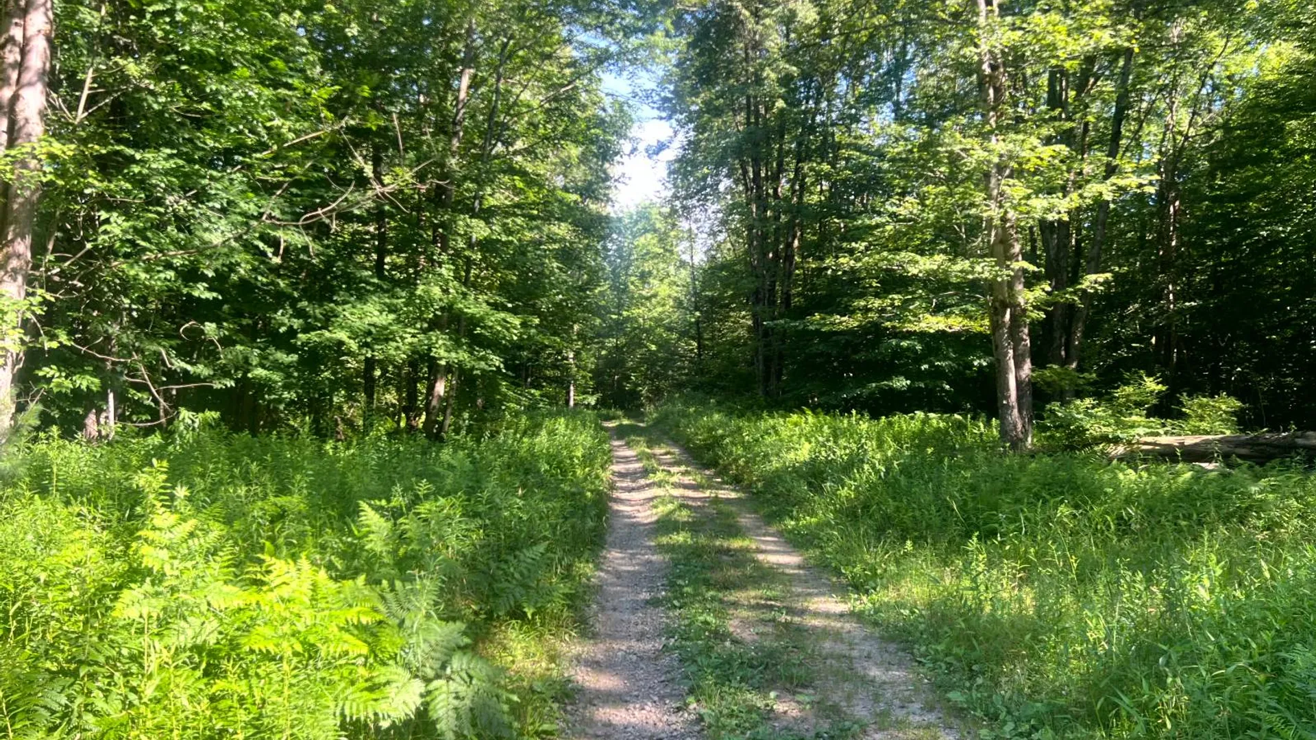 Property at Lot 6 Carleton Pond Road, Camden, NY 13316 11