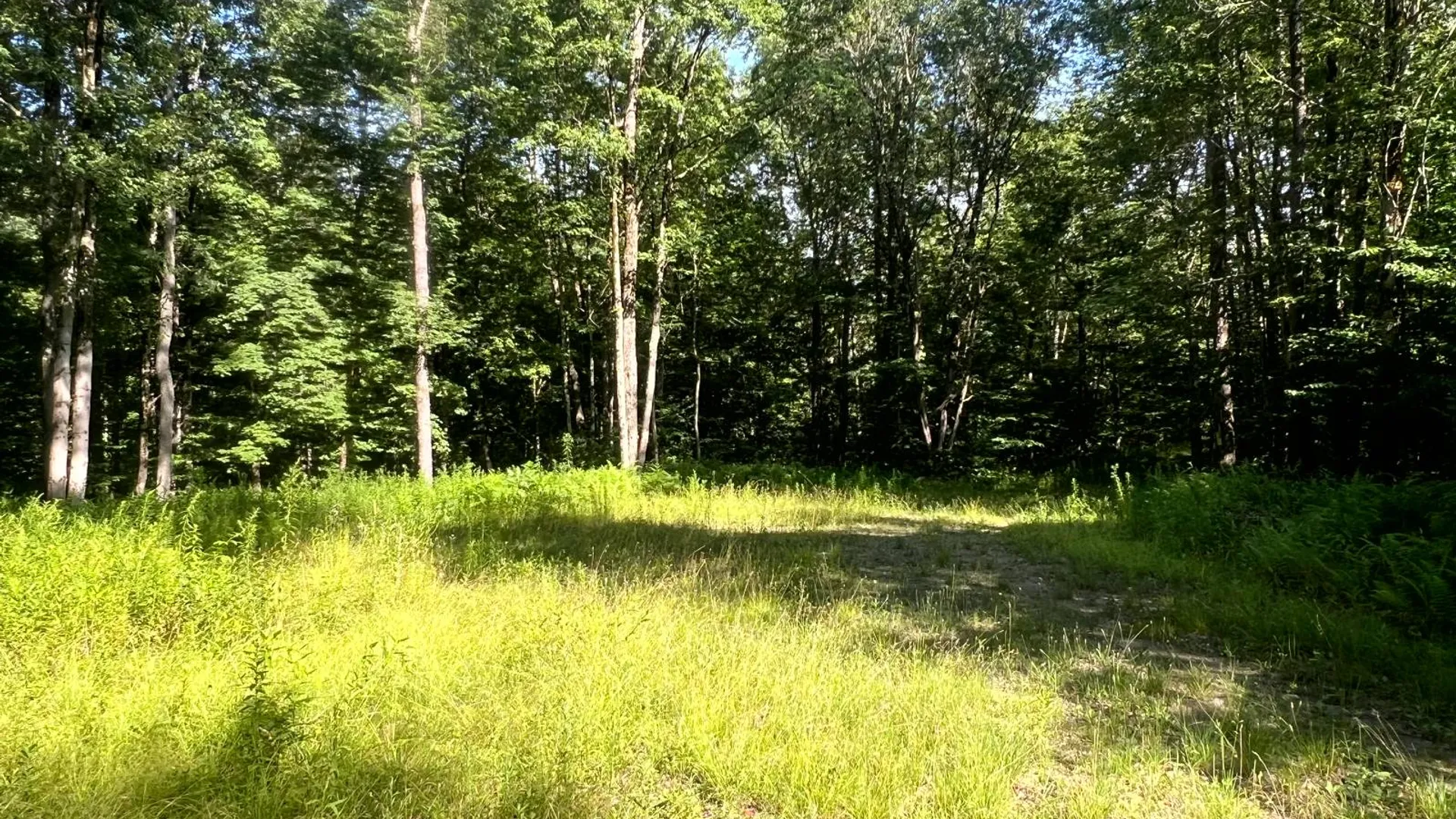 Property at Lot 6 Carleton Pond Road, Camden, NY 13316 14