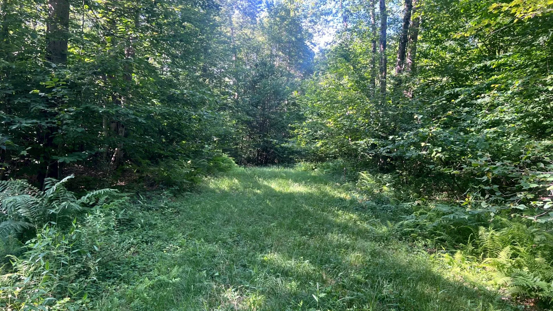 Property at Lot 6 Carleton Pond Road, Camden, NY 13316 16