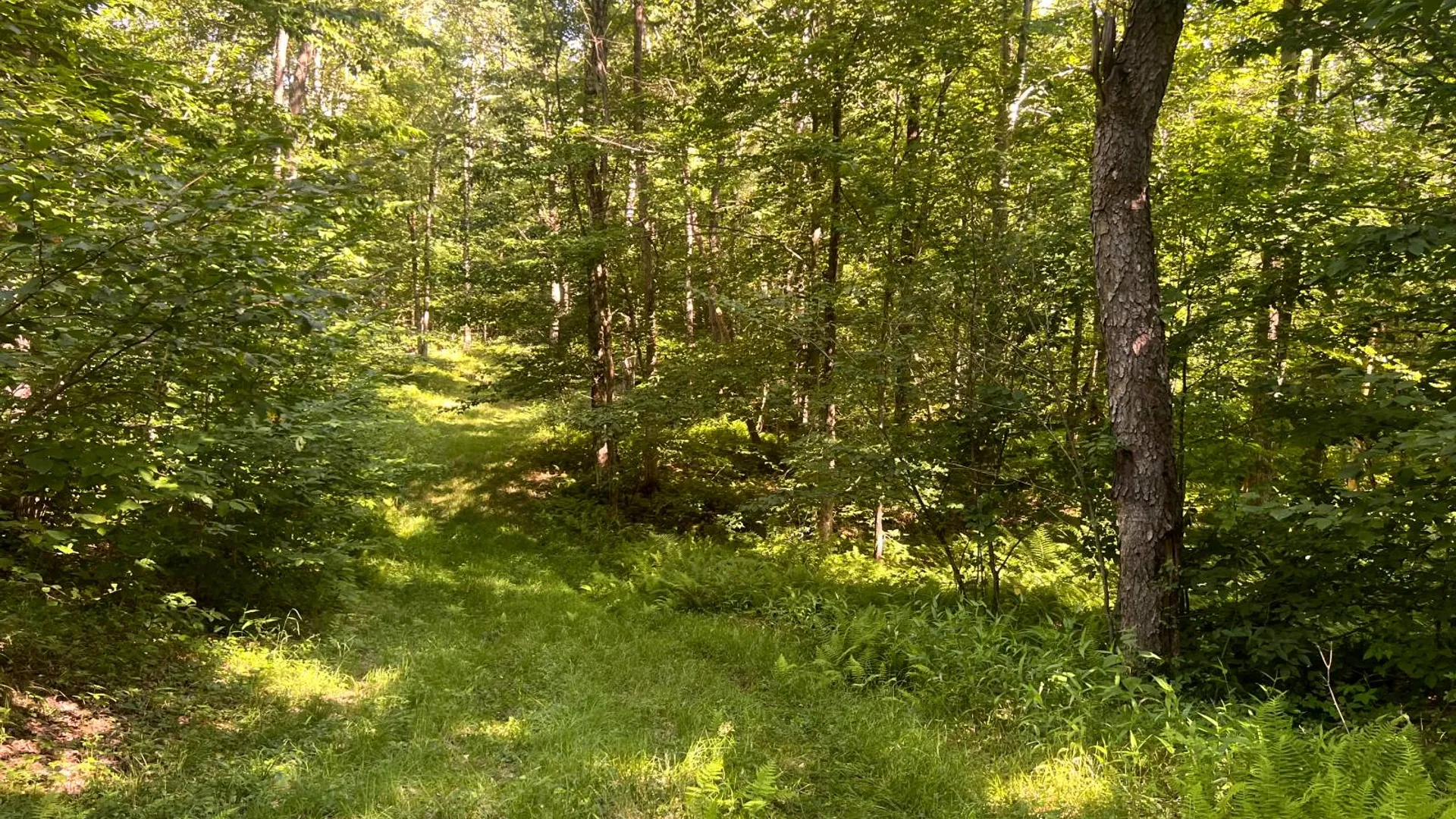 Property at Lot 6 Carleton Pond Road, Camden, NY 13316 19