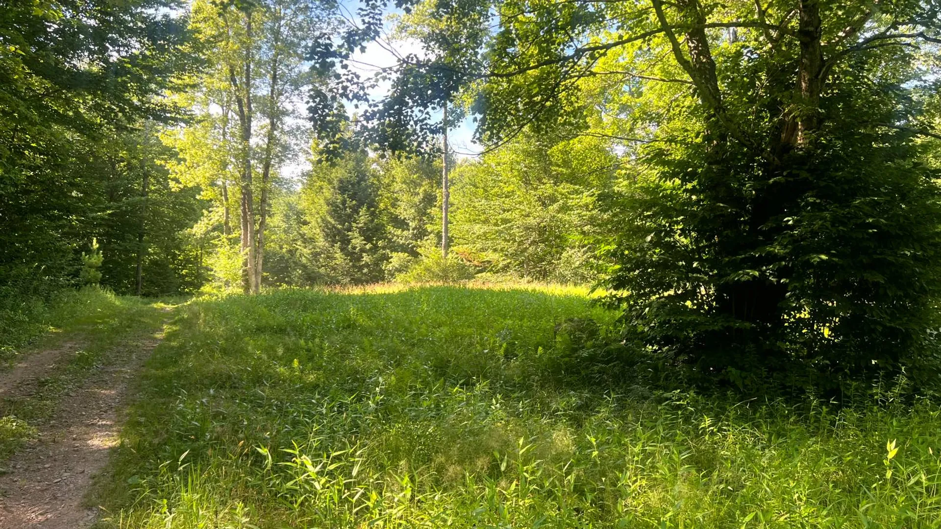Property at Lot 6 Carleton Pond Road, Camden, NY 13316 2