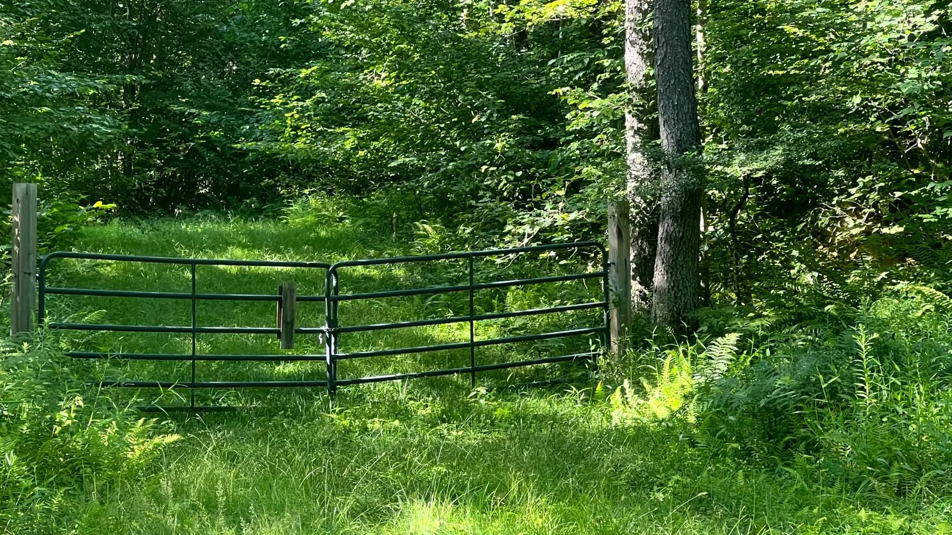 Property at Lot 6 Carleton Pond Road, Camden, NY 13316 4