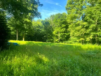 Property at Lot 6 Carleton Pond Road, Camden, NY 13316