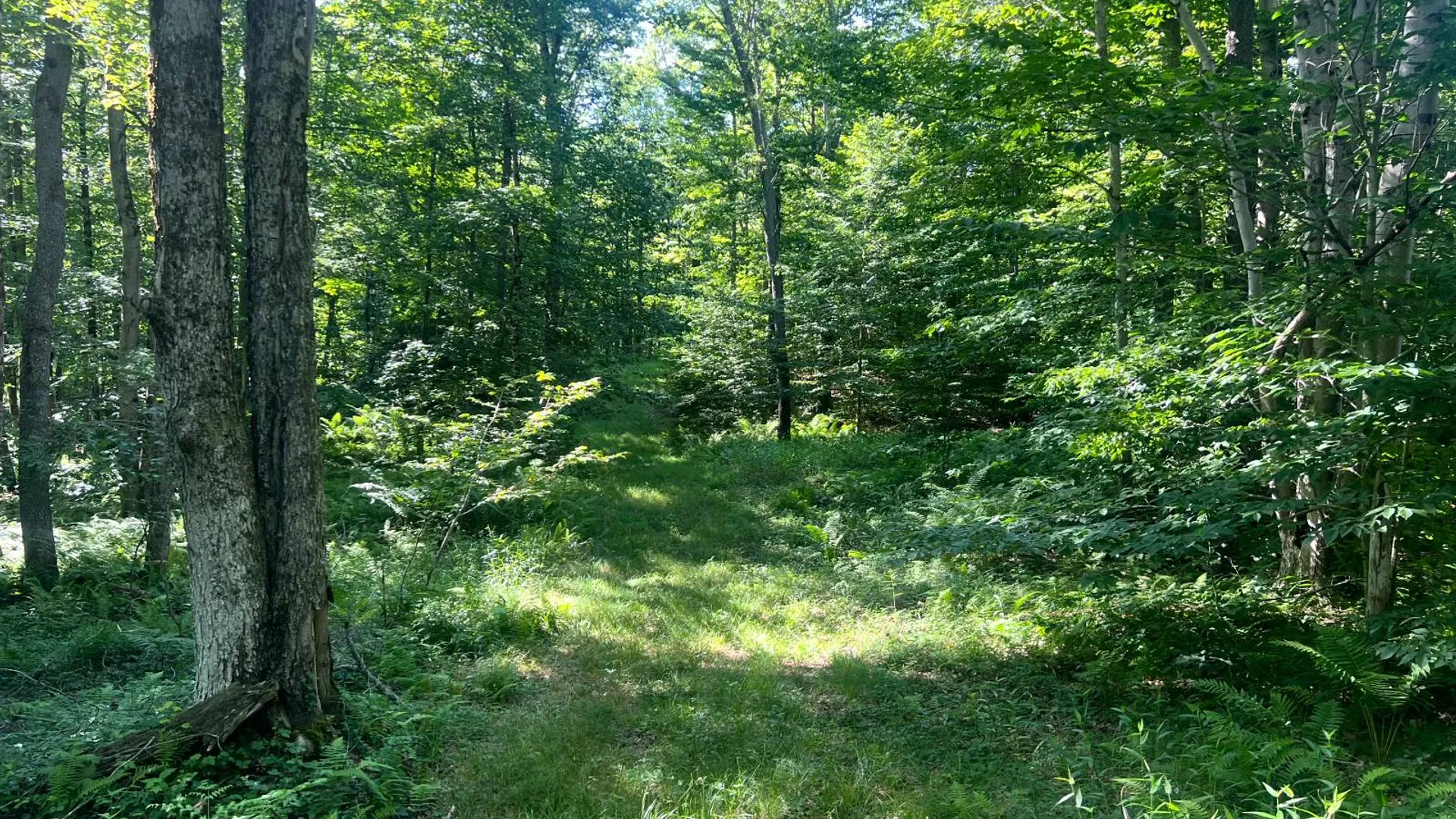 Property at Lot 6 Carleton Pond Road, Camden, NY 13316 6