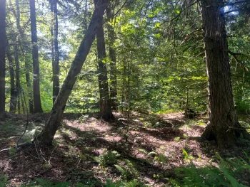 Property at Lot 7 Carleton Pond Road, Camden, NY 13316