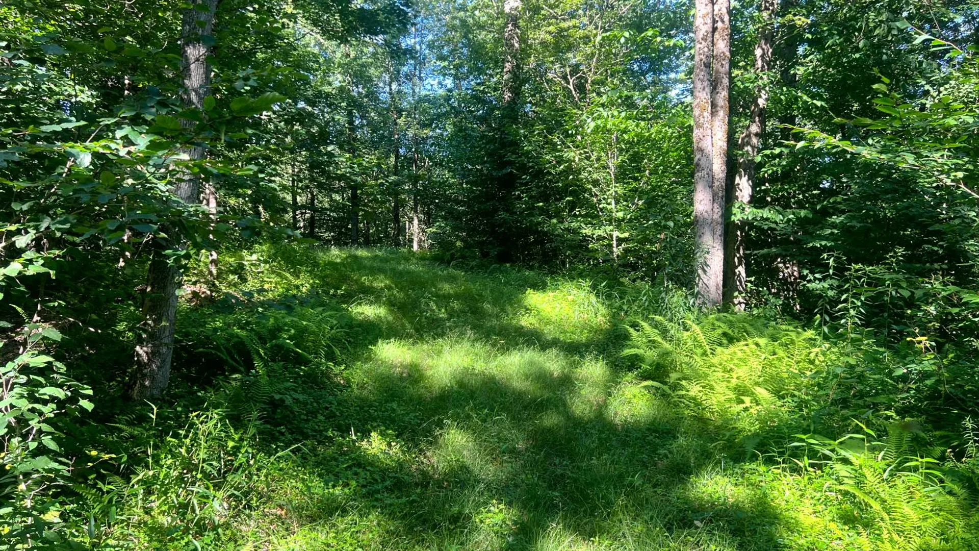 Property at Lot 7 Carleton Pond Road, Camden, NY 13316 8