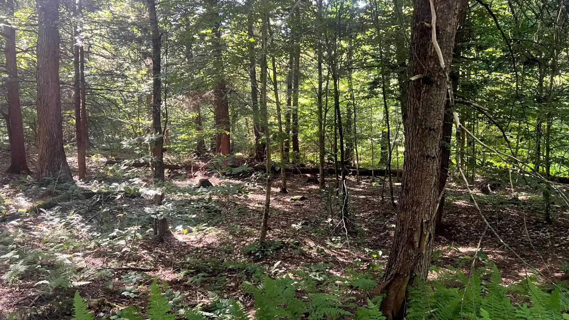 Property at Lot 7 Carleton Pond Road, Camden, NY 13316 13