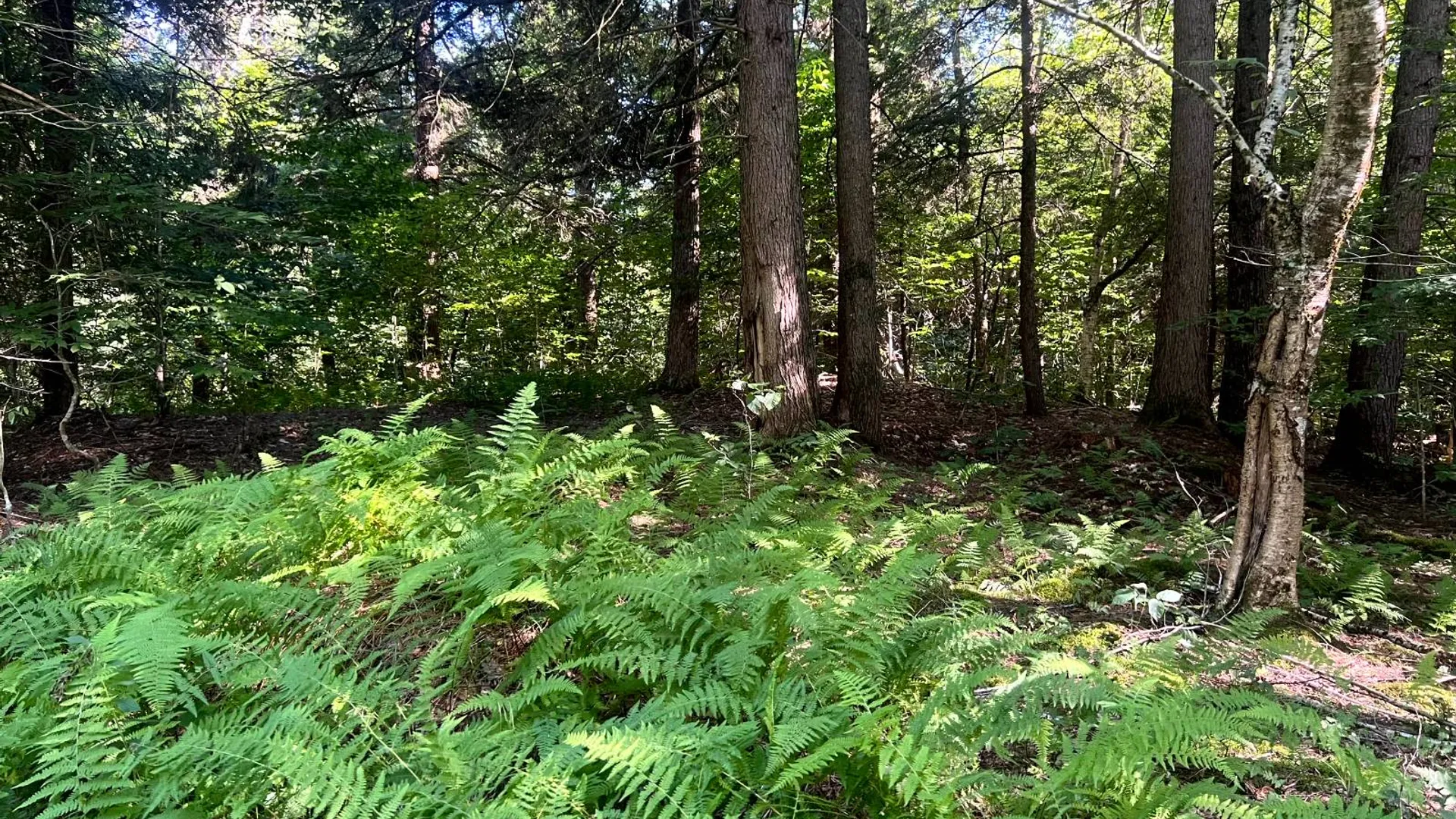 Property at Lot 7 Carleton Pond Road, Camden, NY 13316 15