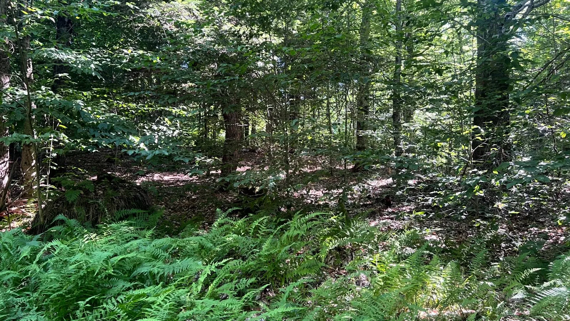Property at Lot 7 Carleton Pond Road, Camden, NY 13316 17