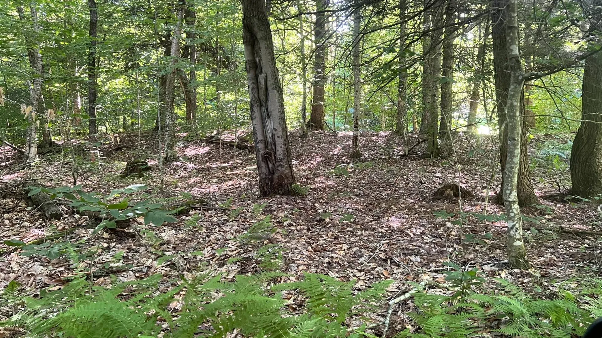 Property at Lot 7 Carleton Pond Road, Camden, NY 13316 18