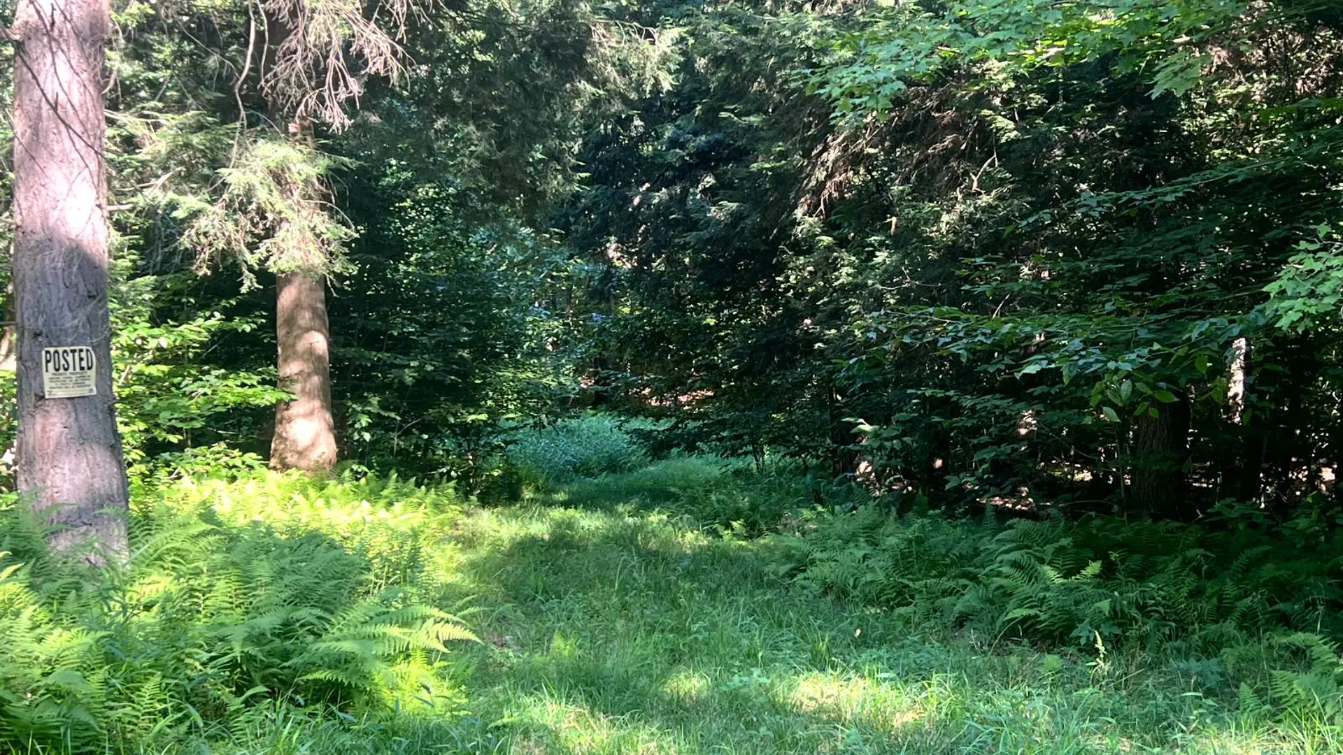 Property at Lot 7 Carleton Pond Road, Camden, NY 13316 20