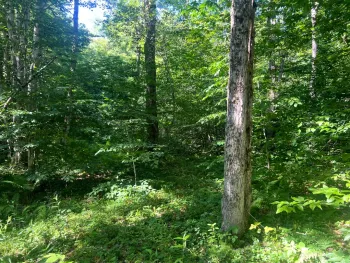 Property at Lots 6 and 7 Carleton Pond Road, Camden, NY 13316