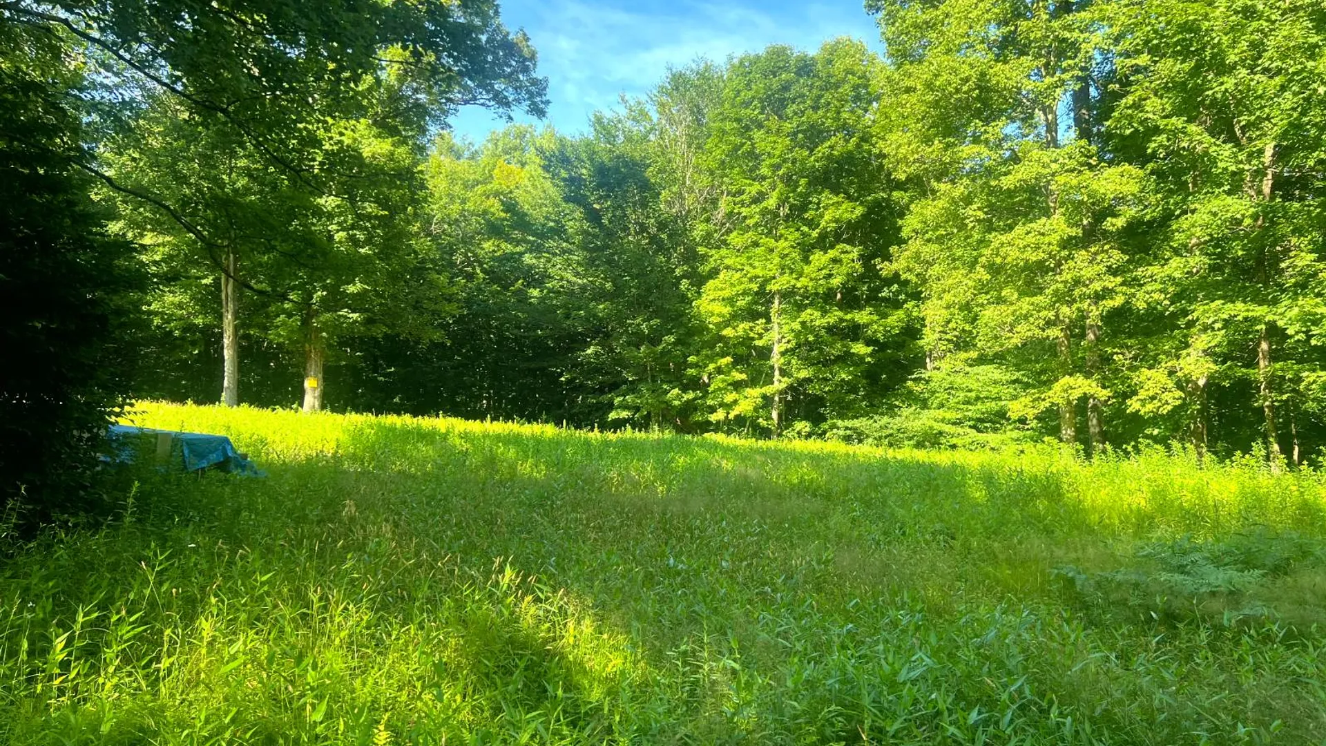 Property at Lots 6 and 7 Carleton Pond Road, Camden, NY 13316 2