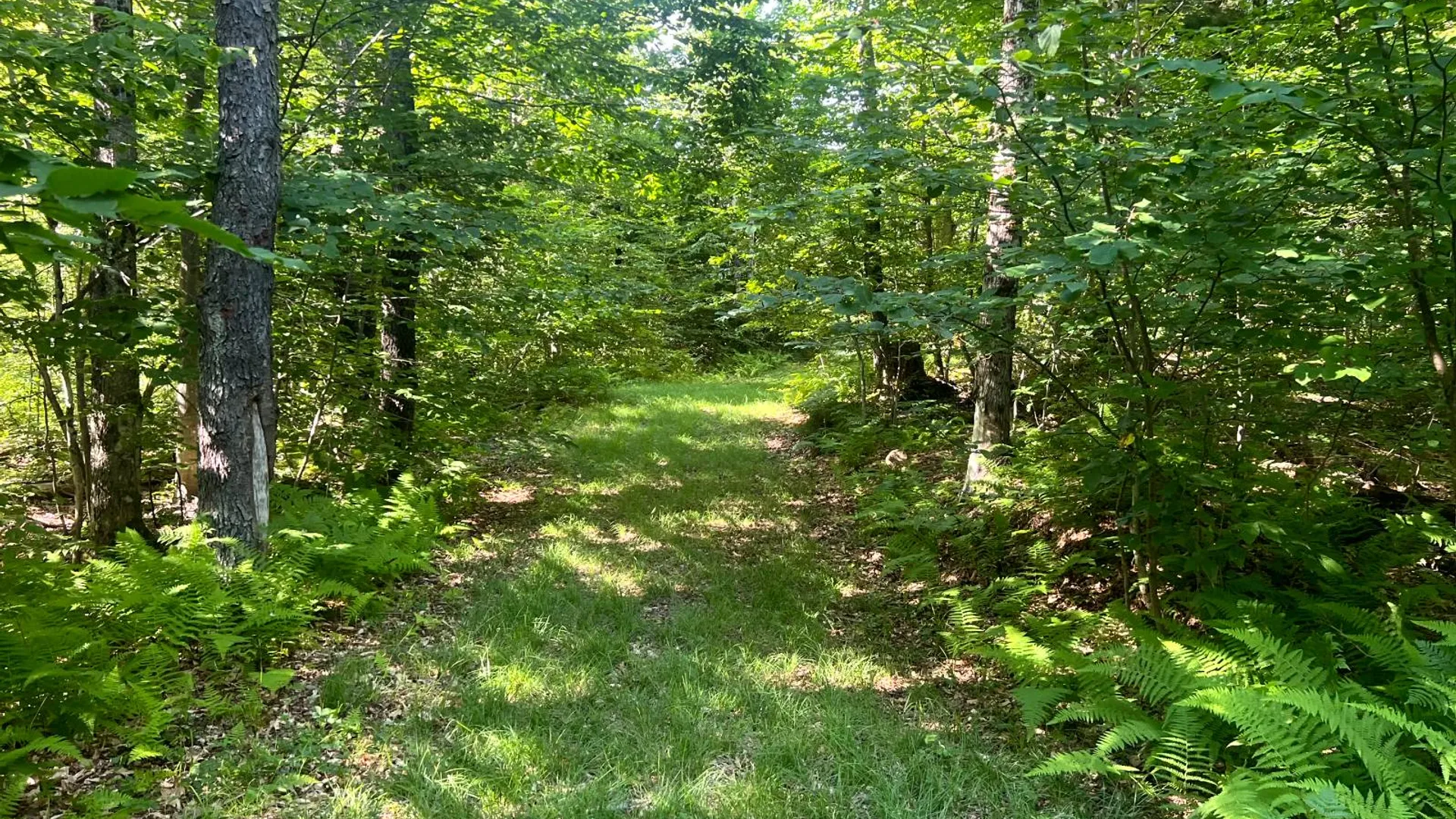 Property at Lots 6 and 7 Carleton Pond Road, Camden, NY 13316 8