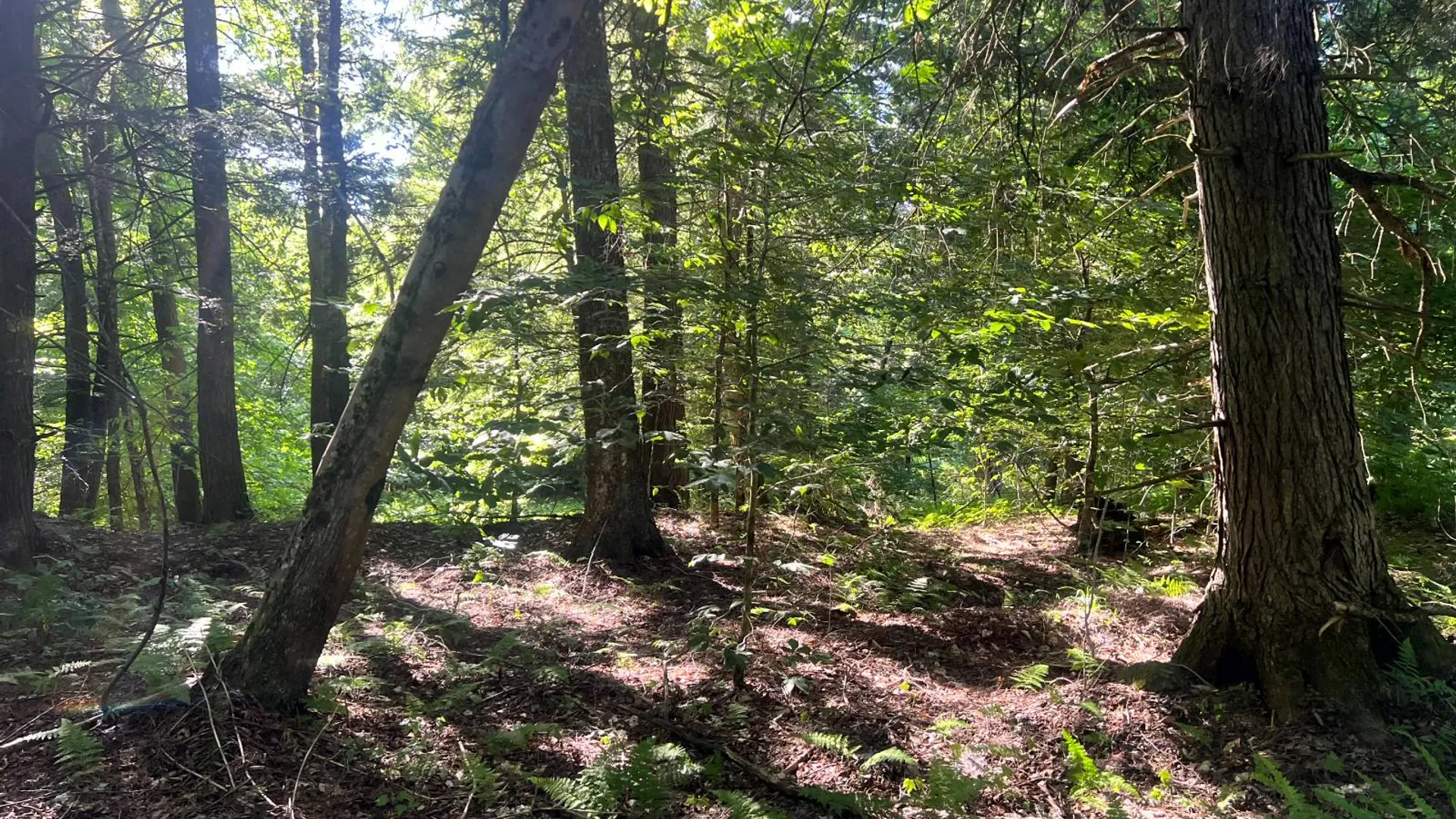 Property at Lots 6 and 7 Carleton Pond Road, Camden, NY 13316 11