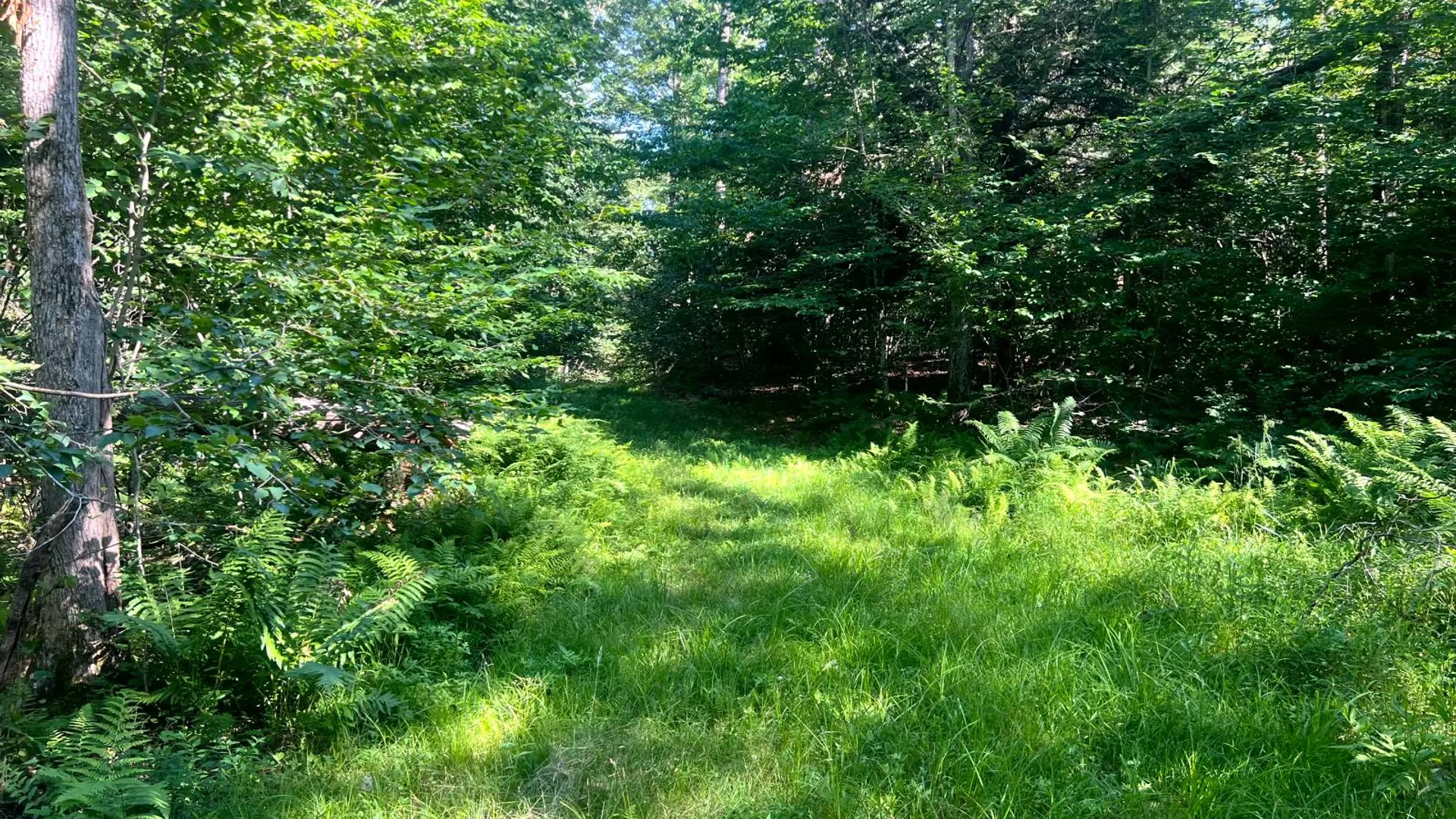 Property at Lots 6 and 7 Carleton Pond Road, Camden, NY 13316 13