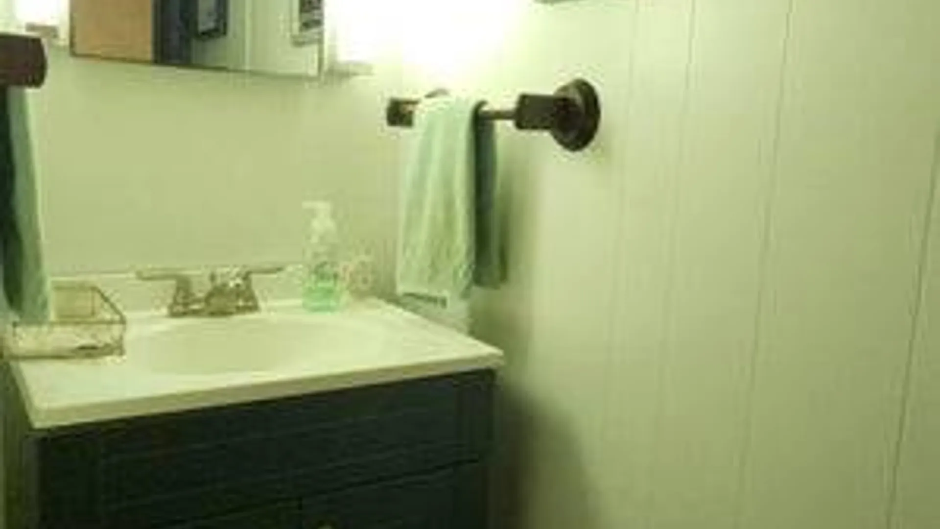 Property at 315 Begley Rd, Windham, NY 12496 14