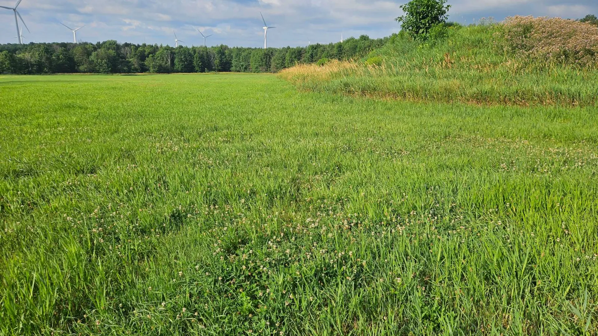 Property at 3652 Devinney Road, Gainesville, NY 14066 4