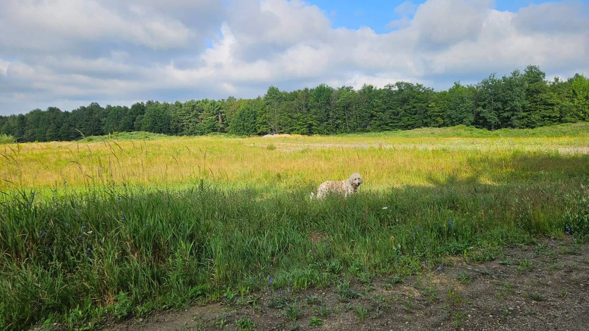 Property at 3652 Devinney Road, Gainesville, NY 14066 13