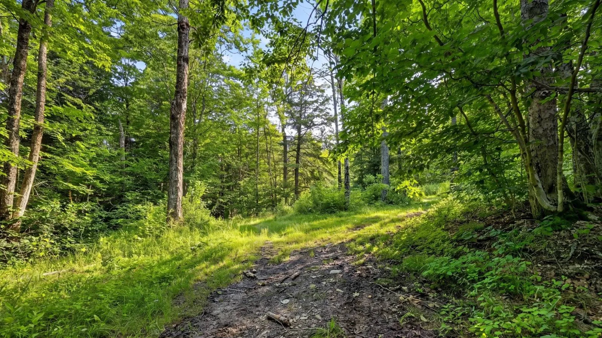 Property at 159 Seven Ponds Rd, Summit, NY 12175 54