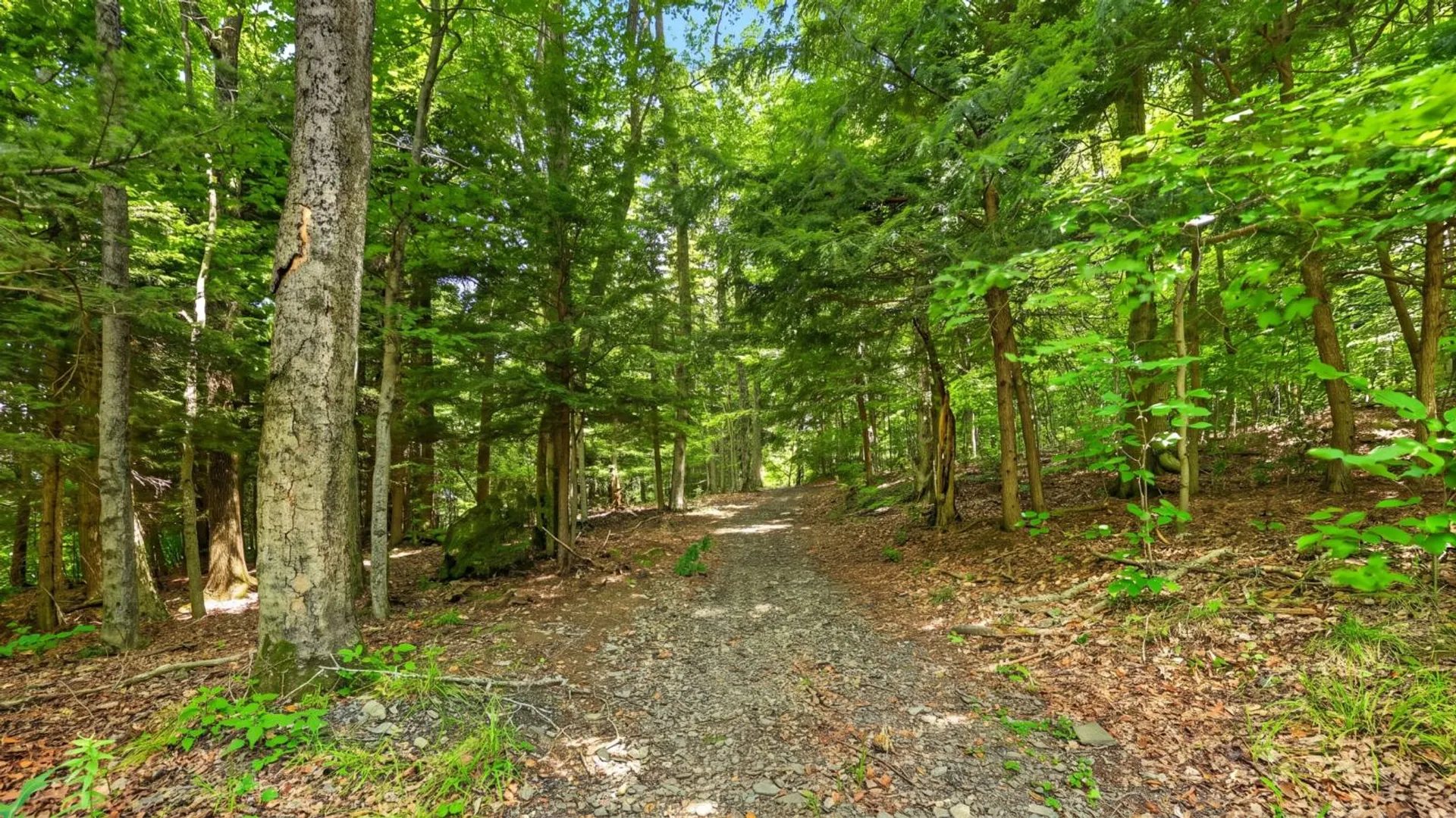 Property at 159 Seven Ponds Rd, Summit, NY 12175 60