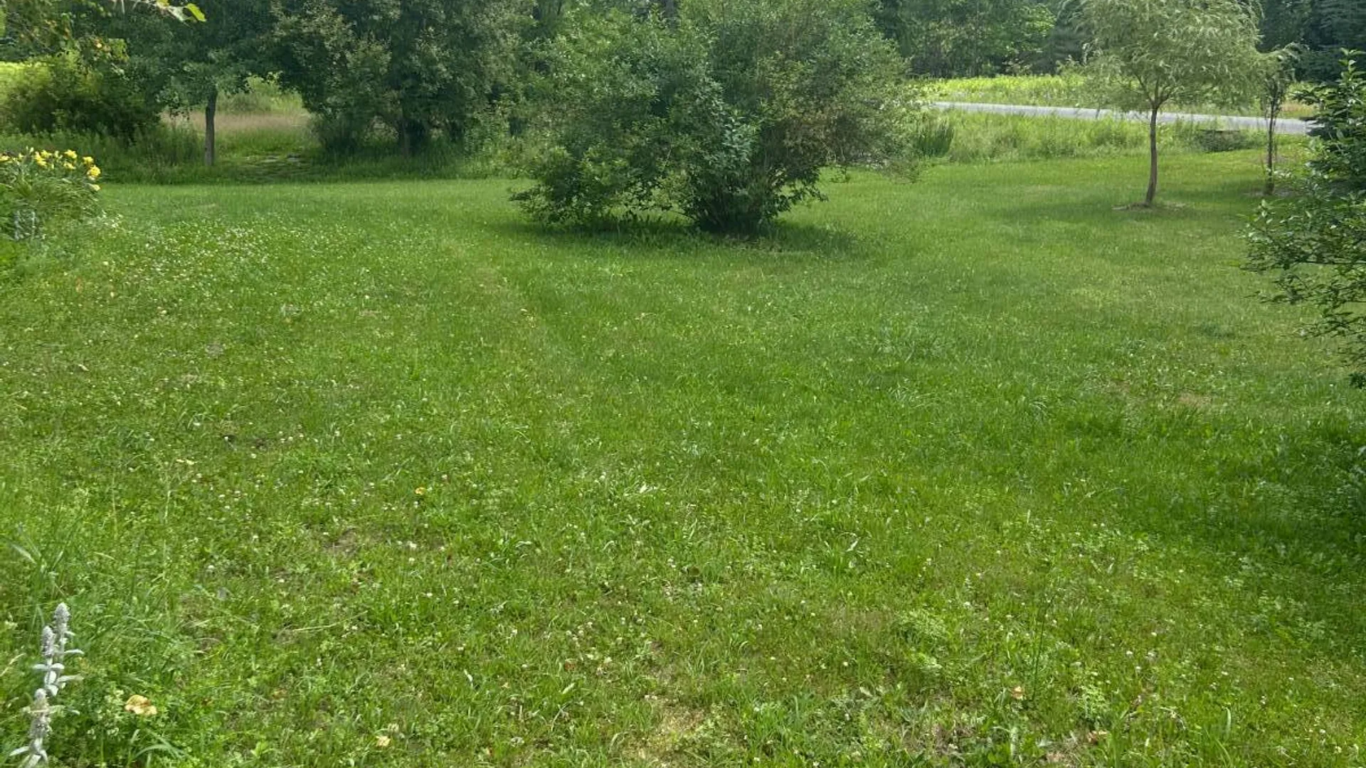 Property at 745 Abe Boice Rd, Sidney Center, NY 13839 4
