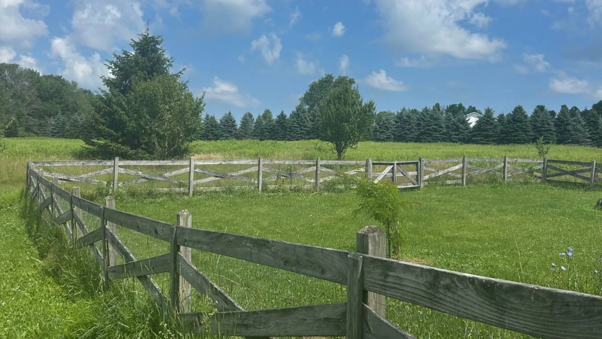 Property at 745 Abe Boice Rd, Sidney Center, NY 13839 5