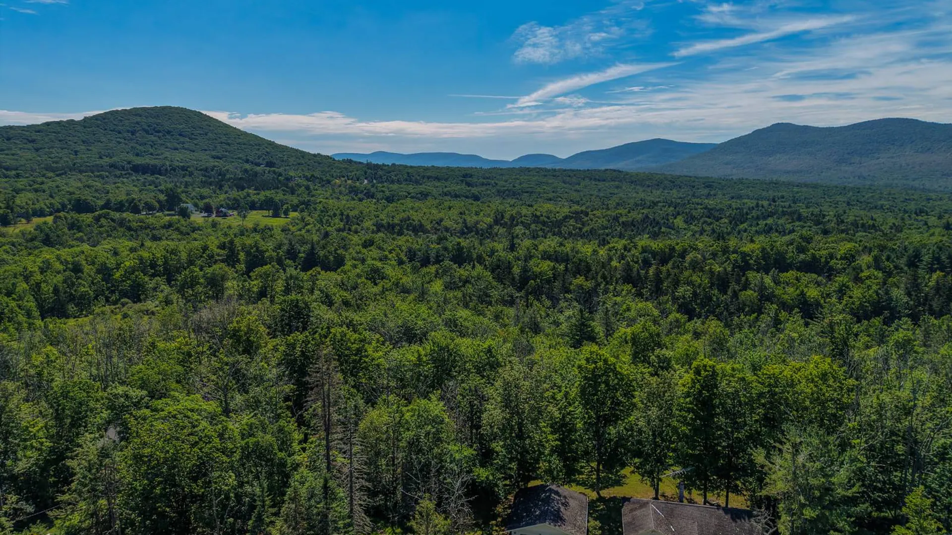 Property at 901 State Route 296, Jewett, NY 12444 3