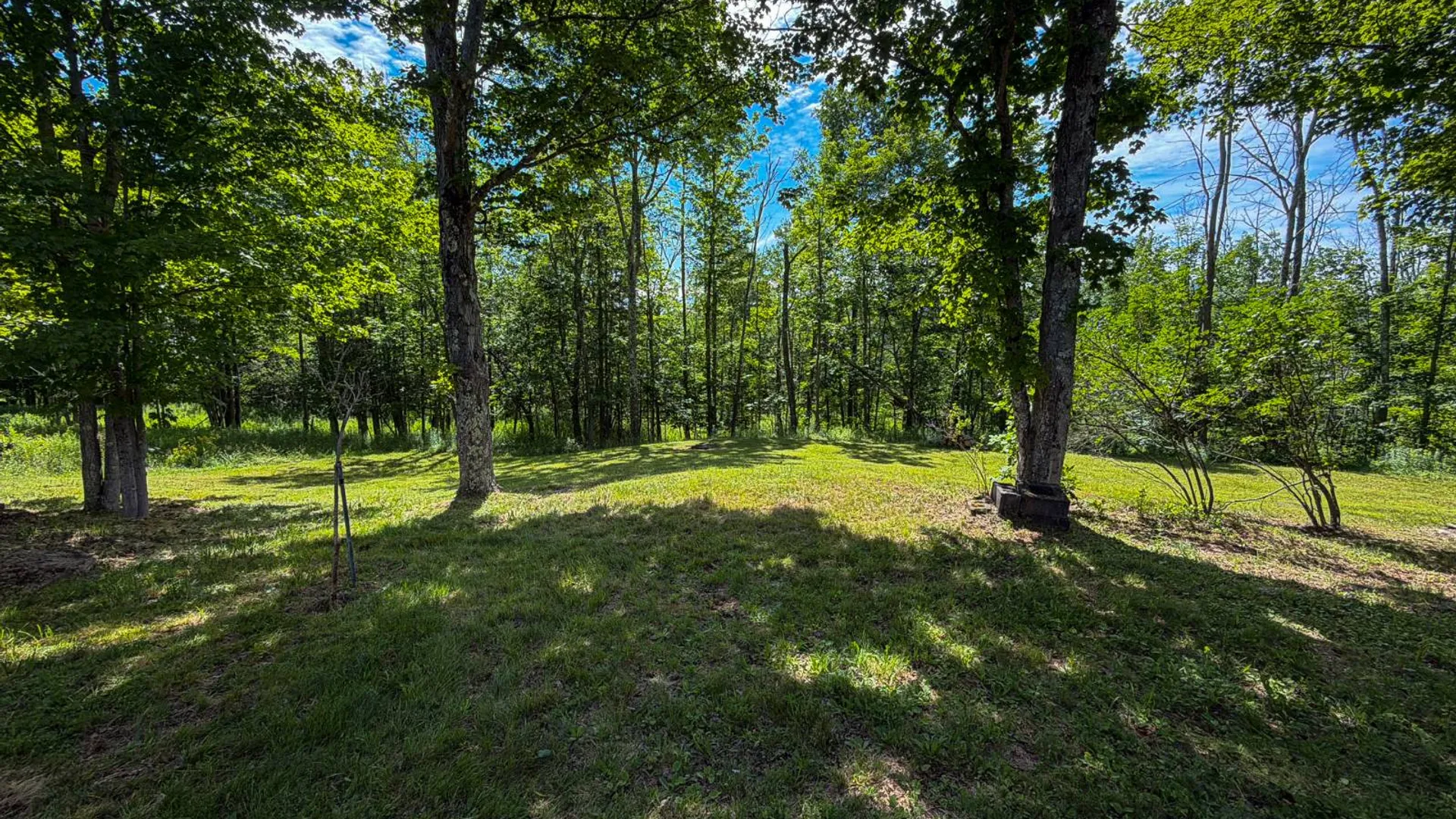 Property at 901 State Route 296, Jewett, NY 12444 4