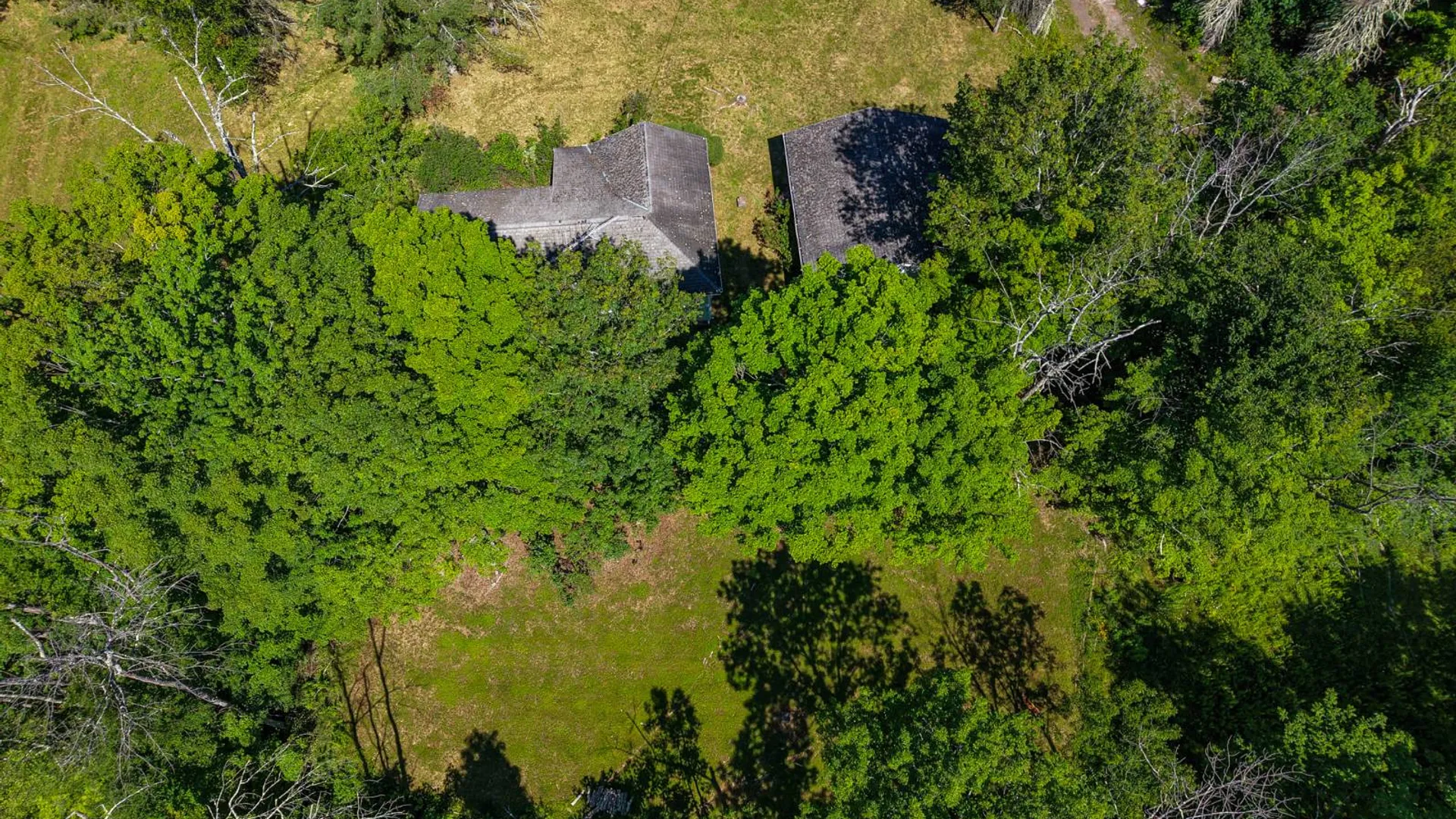 Property at 901 State Route 296, Jewett, NY 12444 24