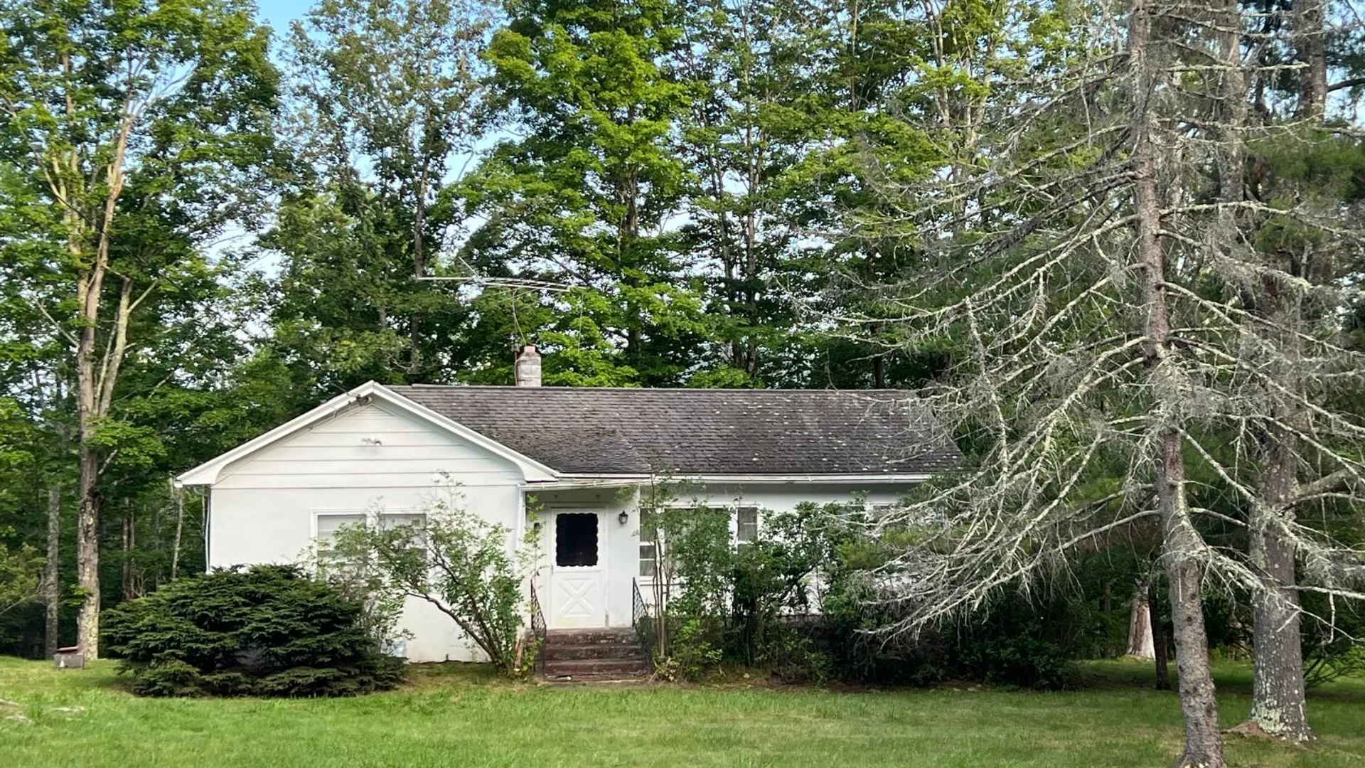 Property at 901 State Route 296, Jewett, NY 12444 2