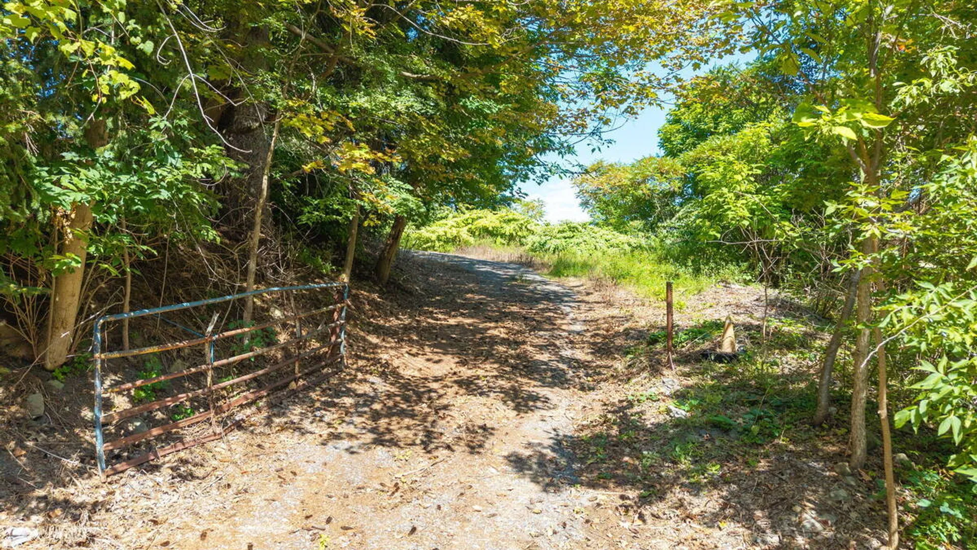 Property at 3661 Scotch Church Road, Rotterdam, NY 12137 4