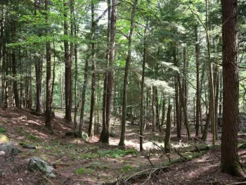 Property at 0 Glen Athol Road, Thurman, NY 12885