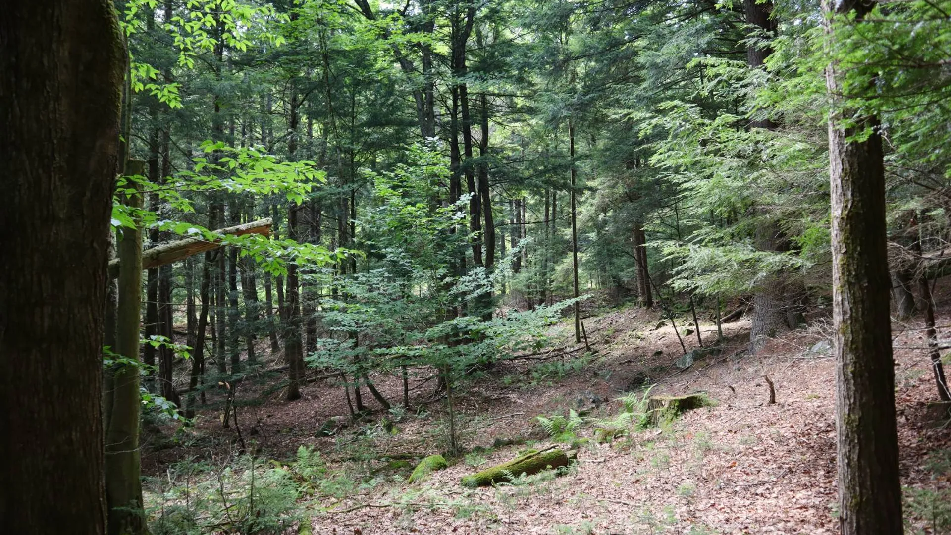 Property at 0 Glen Athol Road, Thurman, NY 12885 2