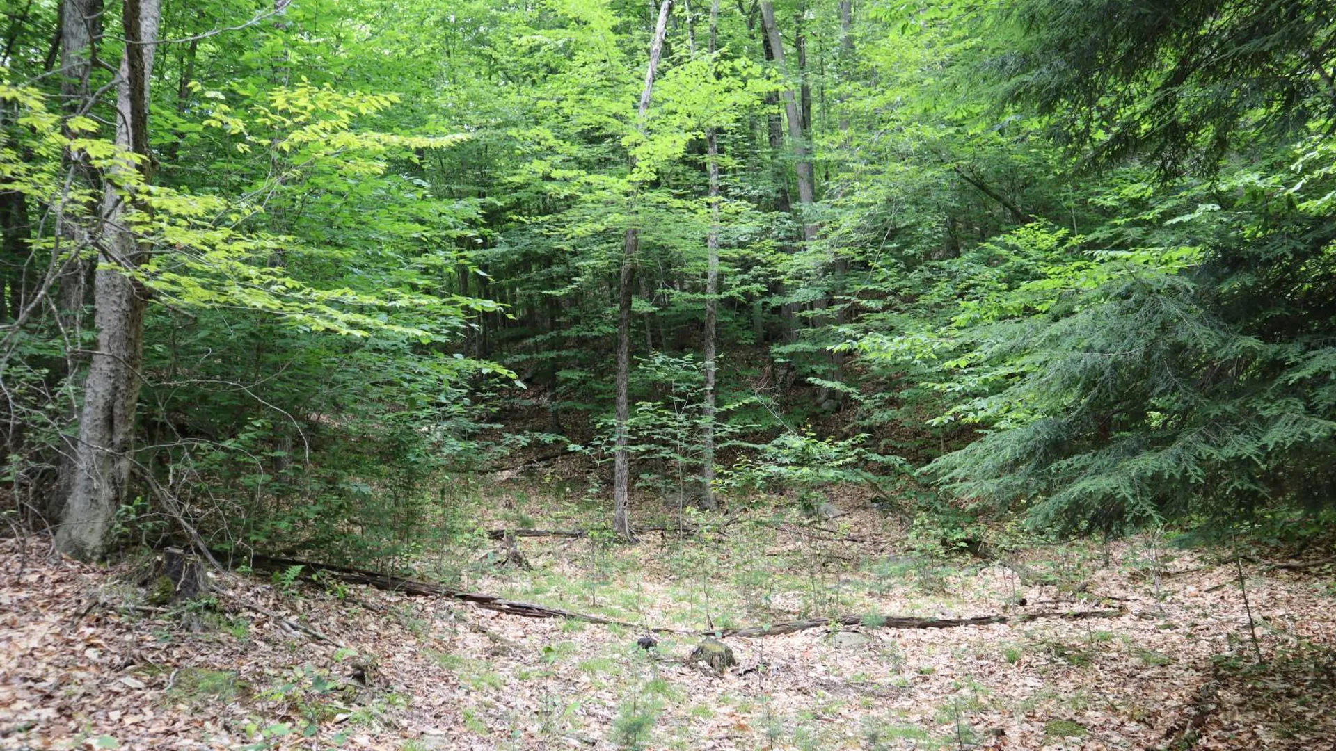 Property at 0 Glen Athol Road, Thurman, NY 12885 5