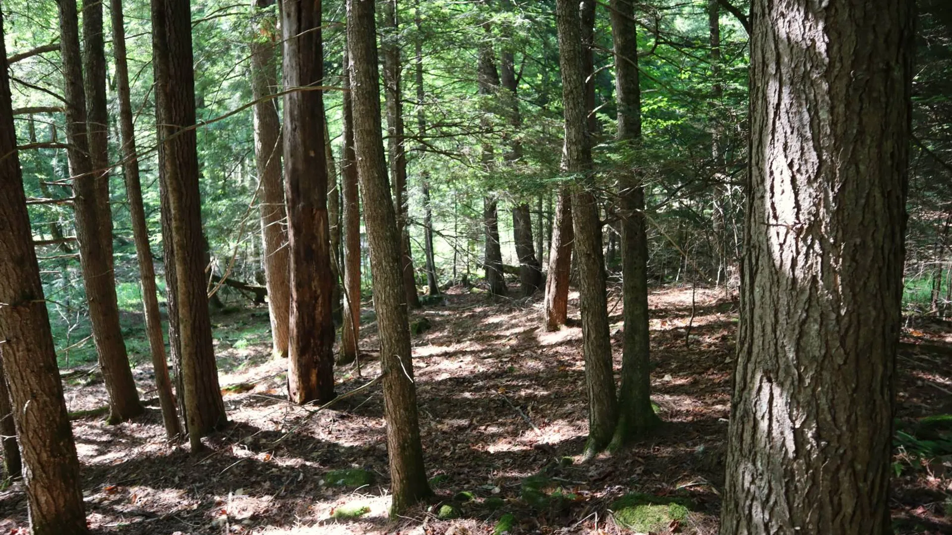 Property at 0 Glen Athol Road, Thurman, NY 12885 6